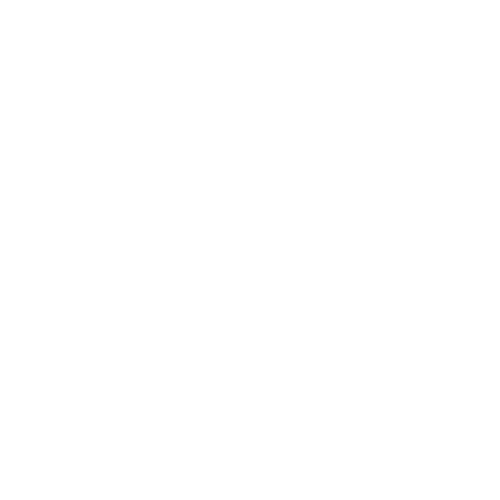 White text on a black background reading "active feet".