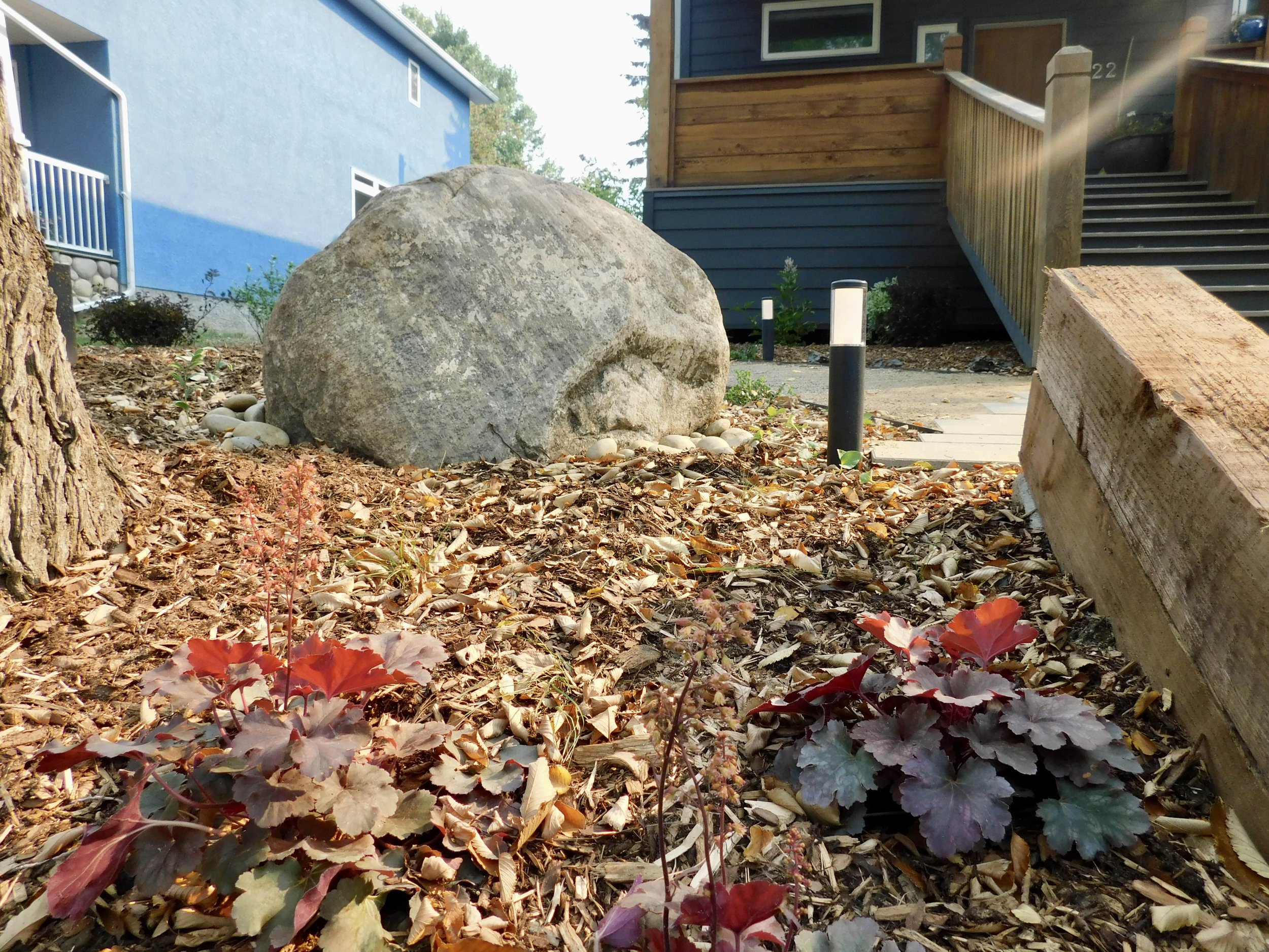 6573ab000844bc70bbbccccd_IMG-7224-min.jpg