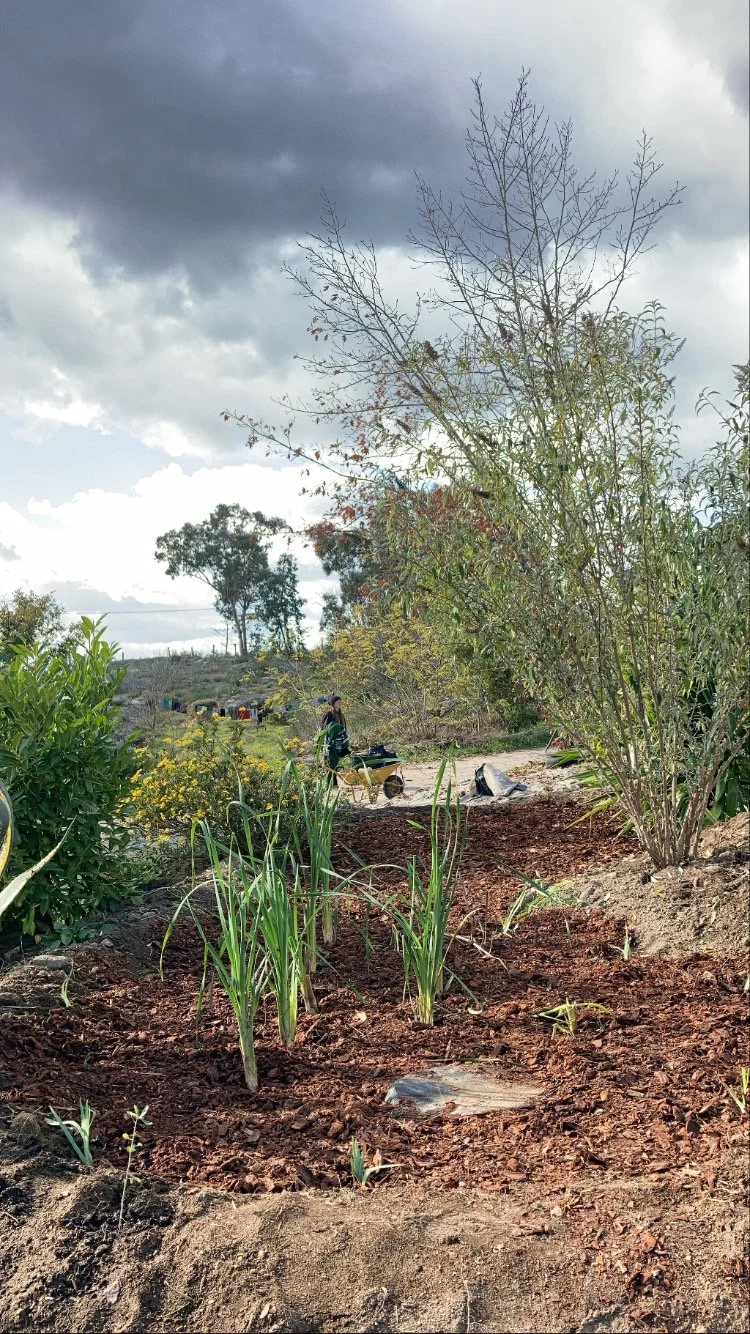 622d402952166946d7e2a778_48C03F6B-D680-4033-BC2F-E50F4A29EFE7 (1).jpg