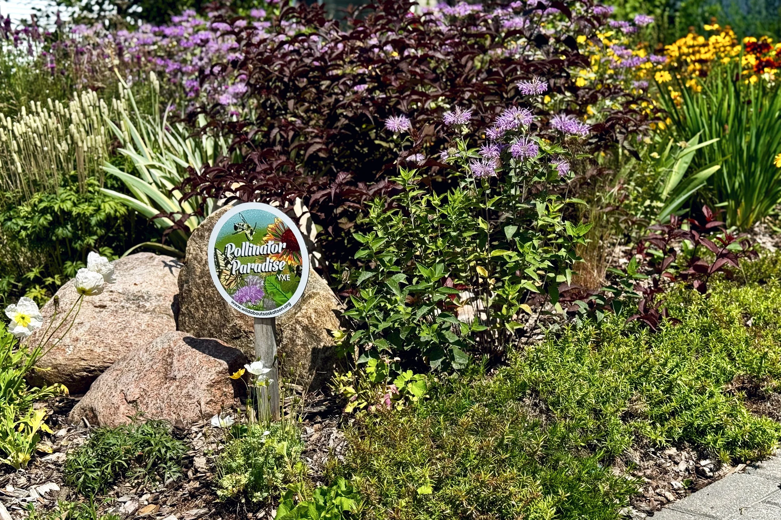 IMG_4539.jpeg