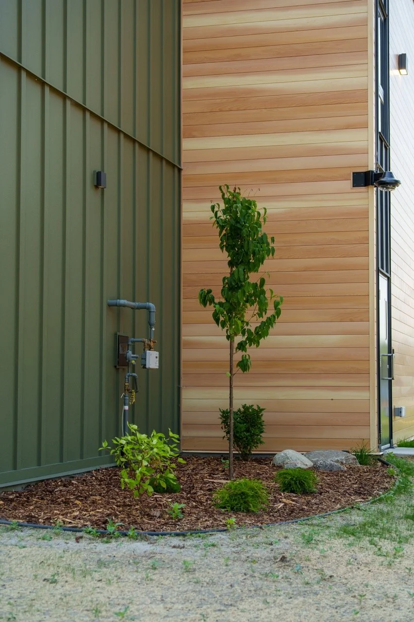 DSC05882 Large.jpeg