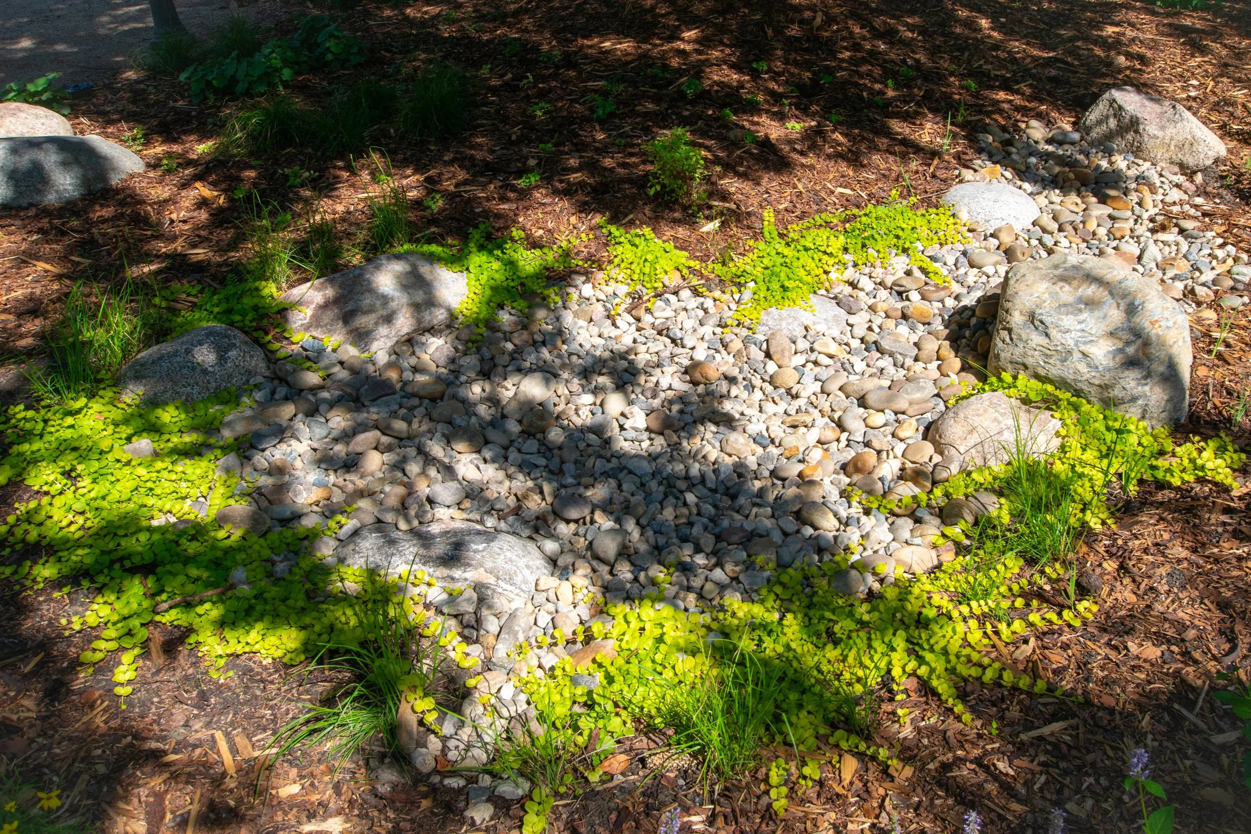 DSC_0041.jpg