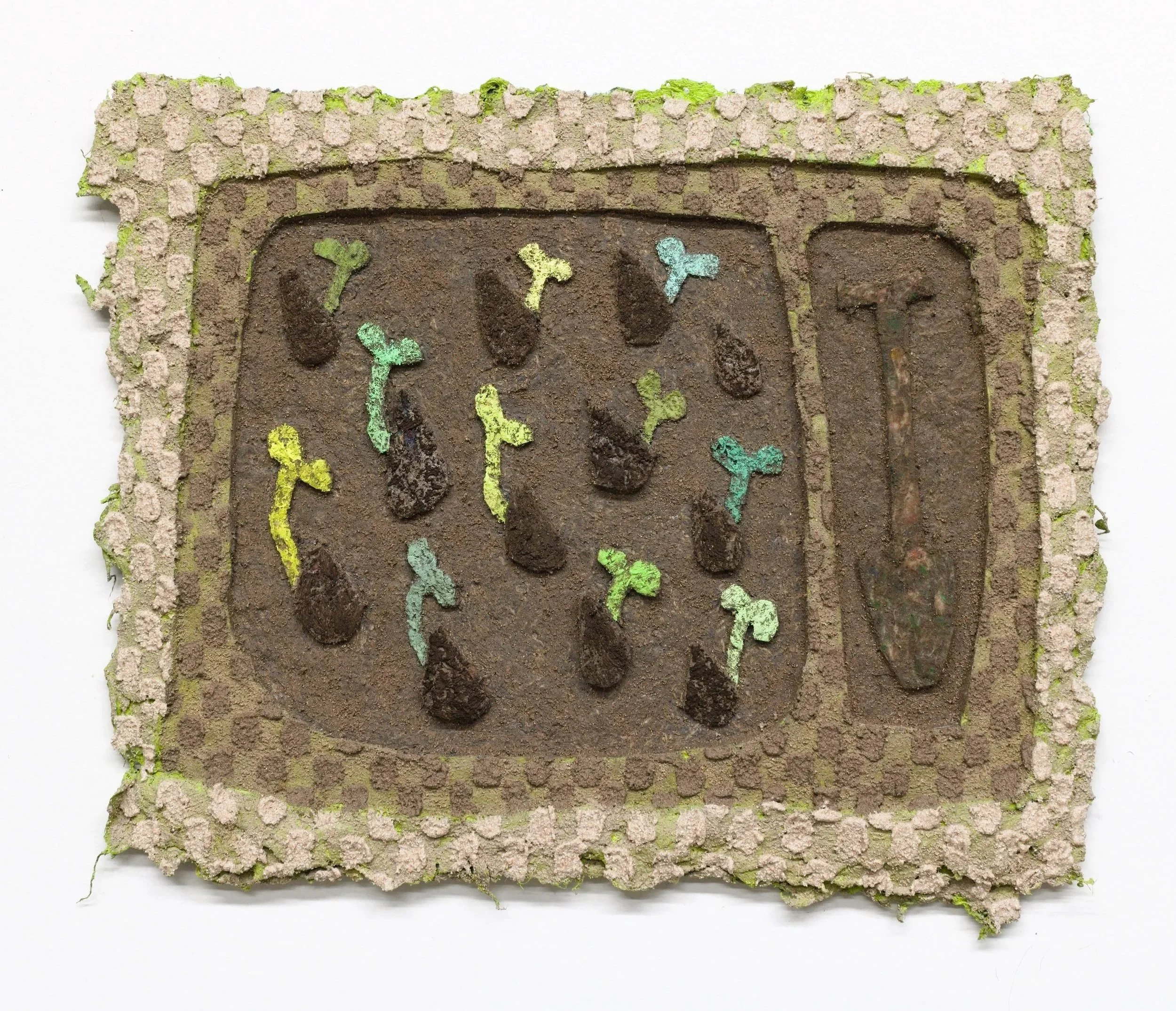 ##Seedlings1
