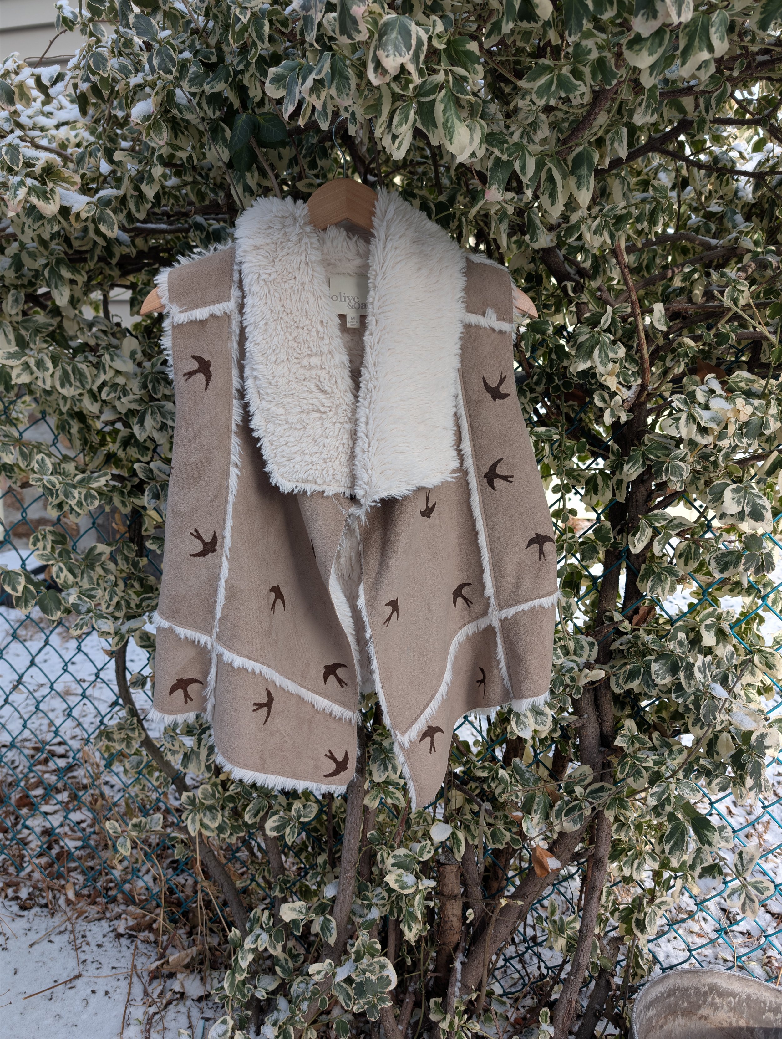 Barn Swallow's Flight - M