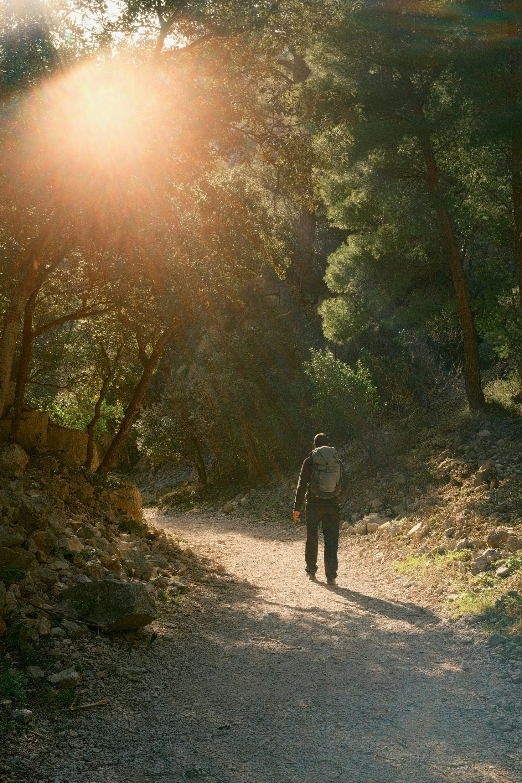 Healing from trauma and moving beyond survival mode.