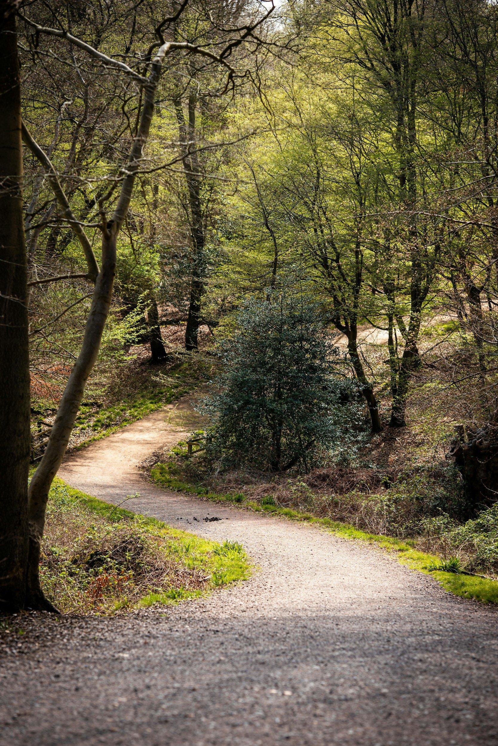 What No One Tells You About Trauma Healing