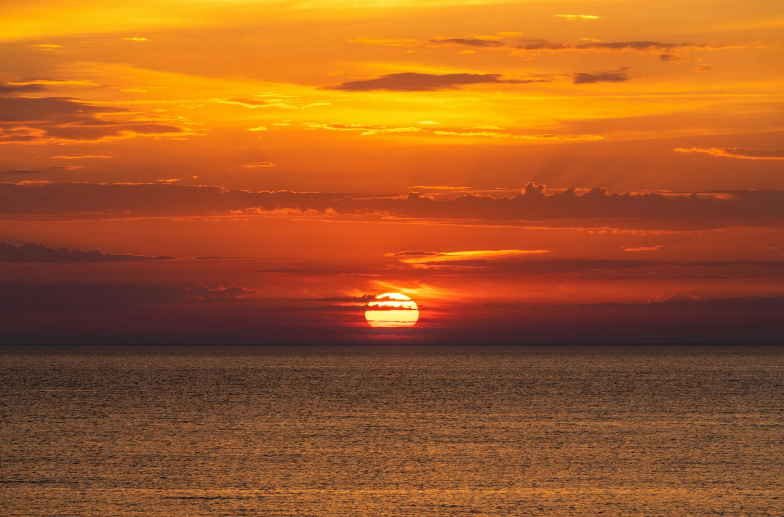 Hope, resilience, and healing after trauma