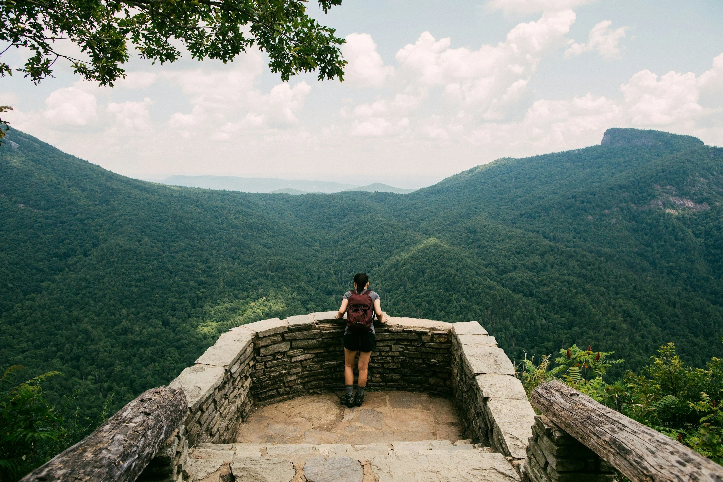 Person overlooking a peaceful landscape after trauma healing, symbolizing clarity, resilience, and emotional freedom