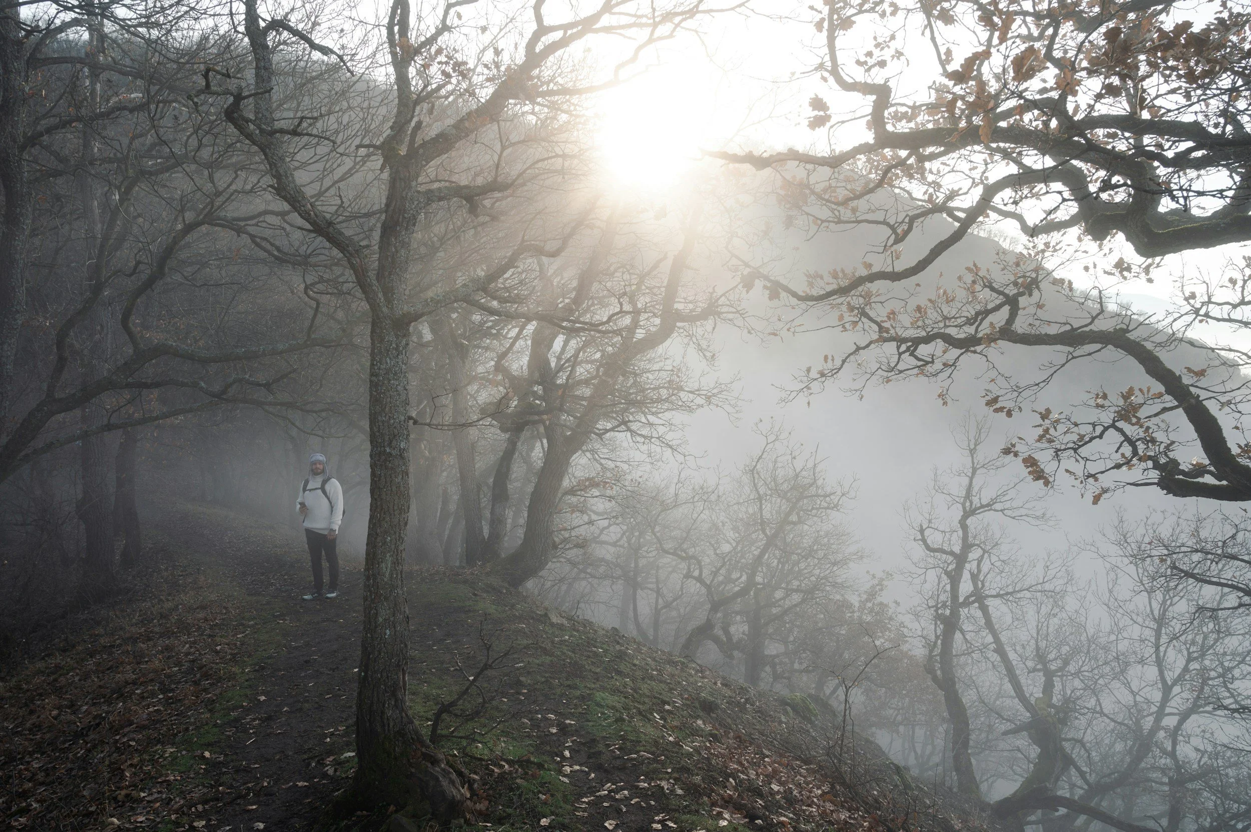 Person walking through morning fog representing healing, clarity, and moving beyond trauma with EMDR therapy