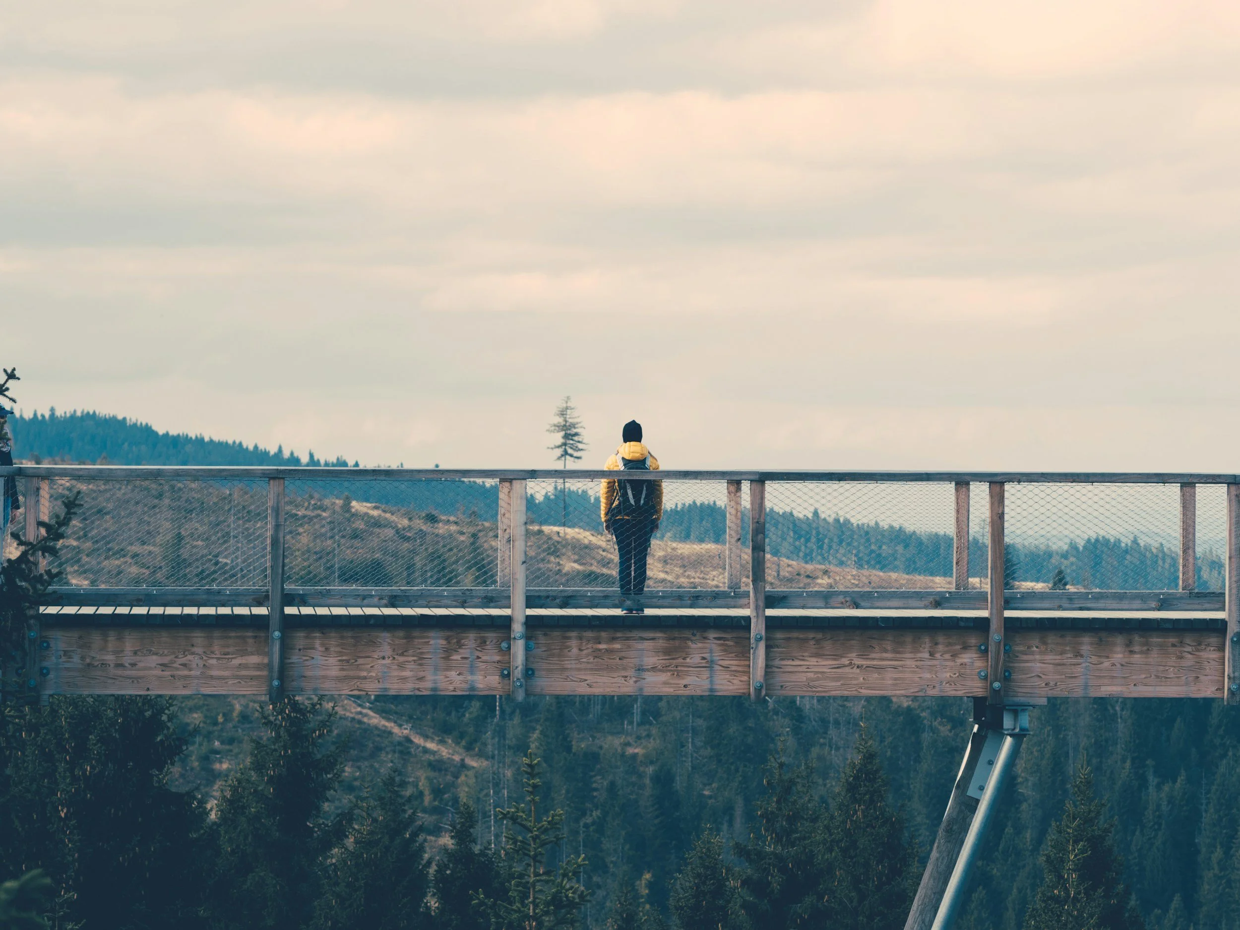 Person standing on a bridge representing moving forward through trauma healing with EMDR therapy