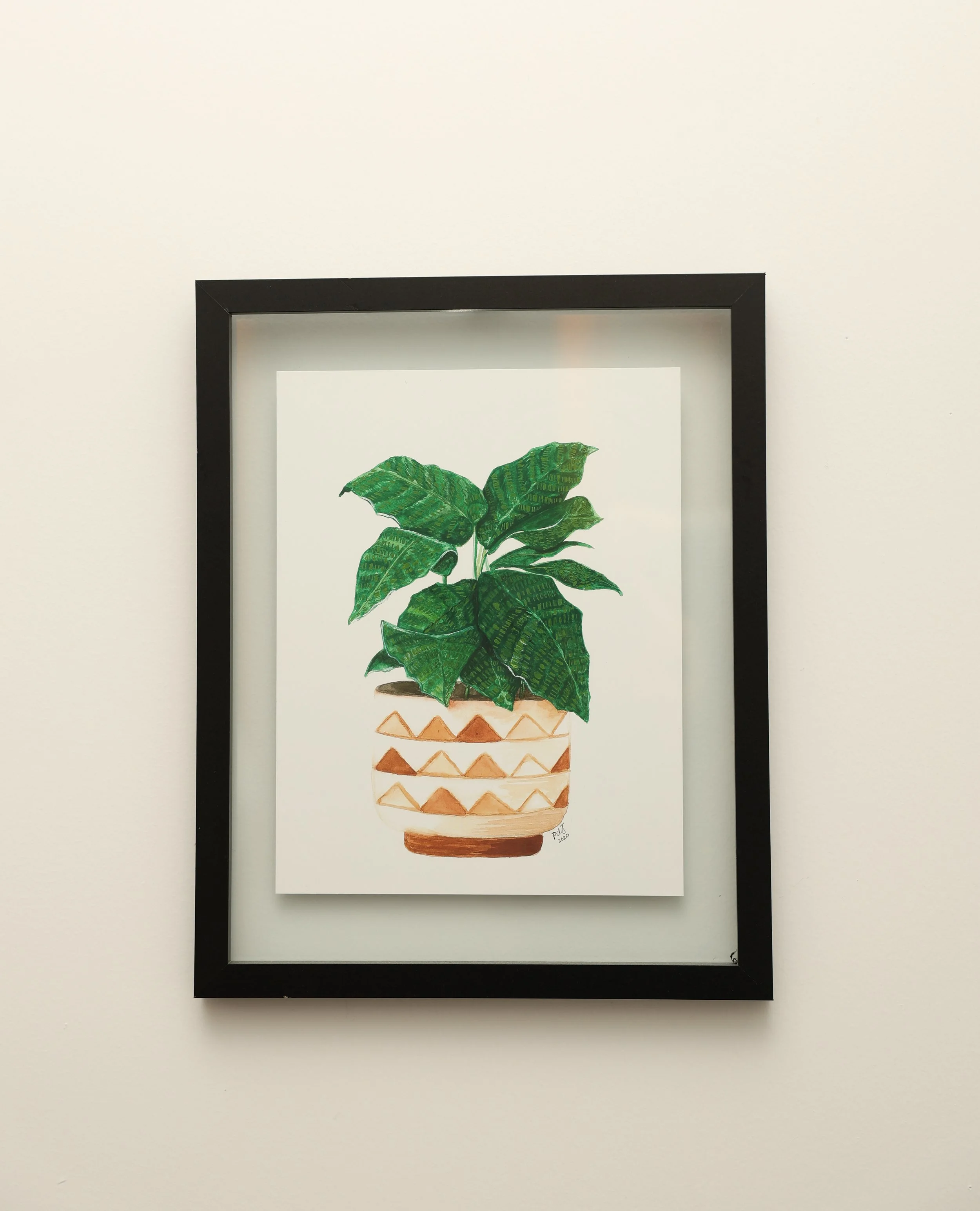 A framed watercolor painting of a potted green leafy plant on a white background.