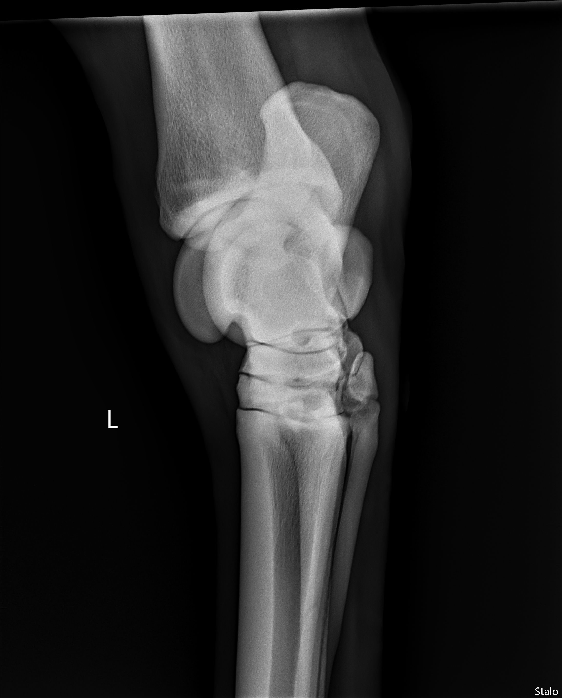 ALPHA ONE LAST GUN SMITH(18).png