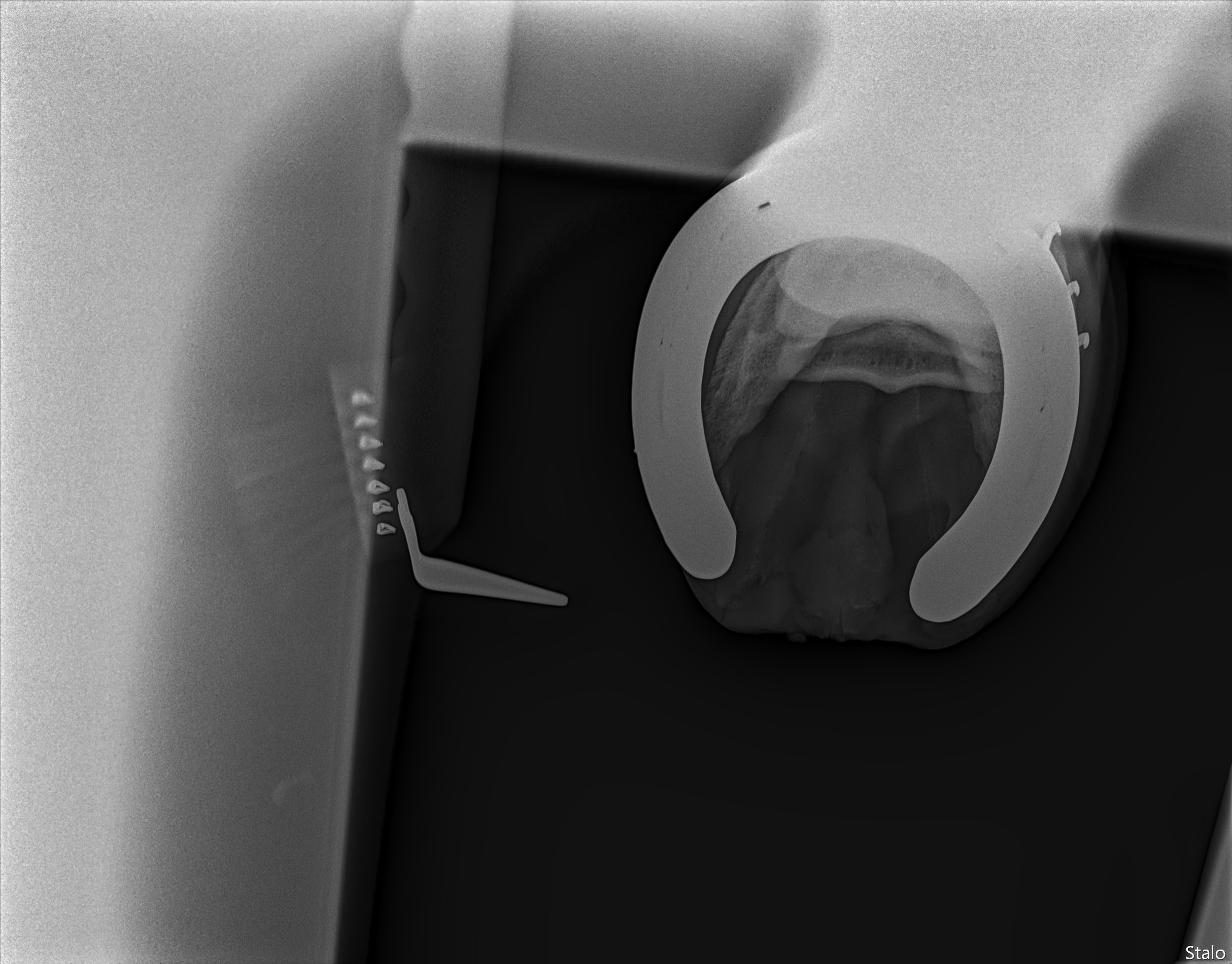 ALPHA ONE LAST GUN SMITH.png