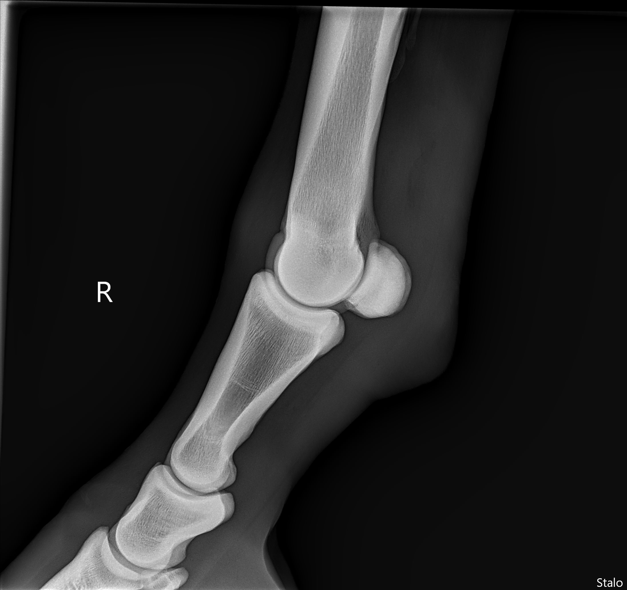 ALPHA ONE LAST GUN SMITH(25).png