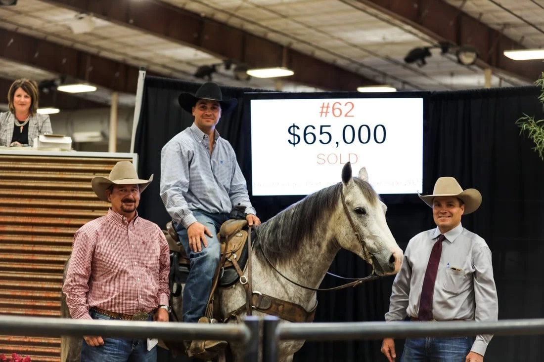 RKR Spacecowboy consigned by Ryan VonAhn, Sold for $65,000.00 to Kevin Harris from Richmond Texas