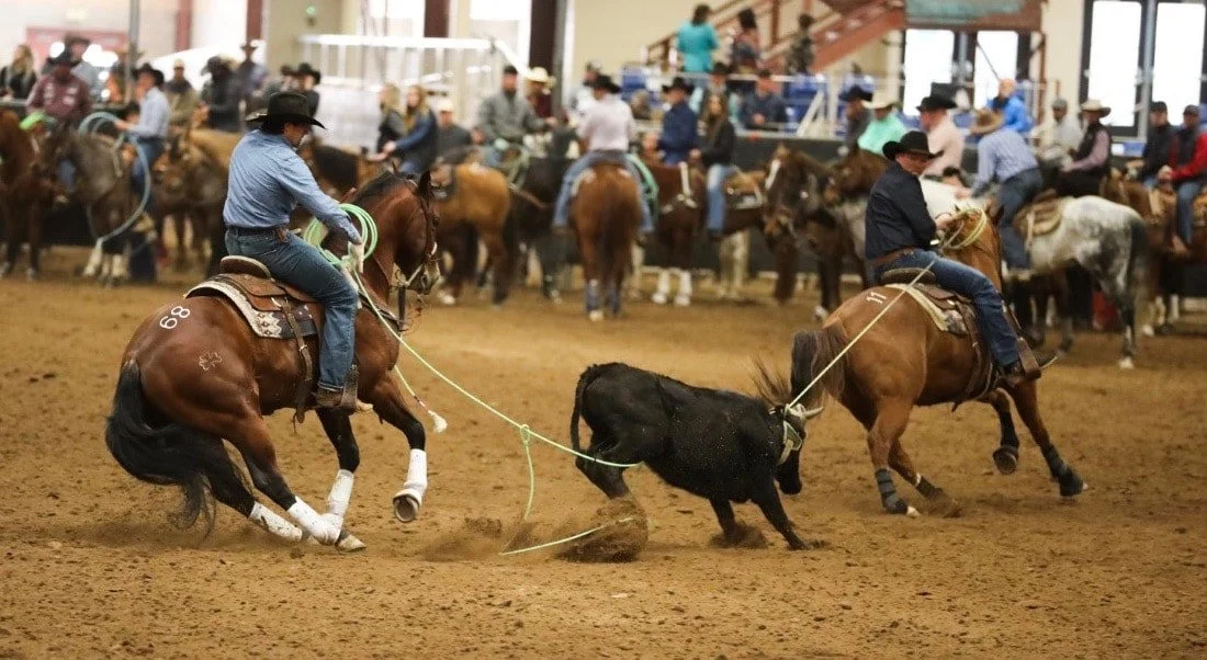 Firery Peppy Pistol & Nicks Royale