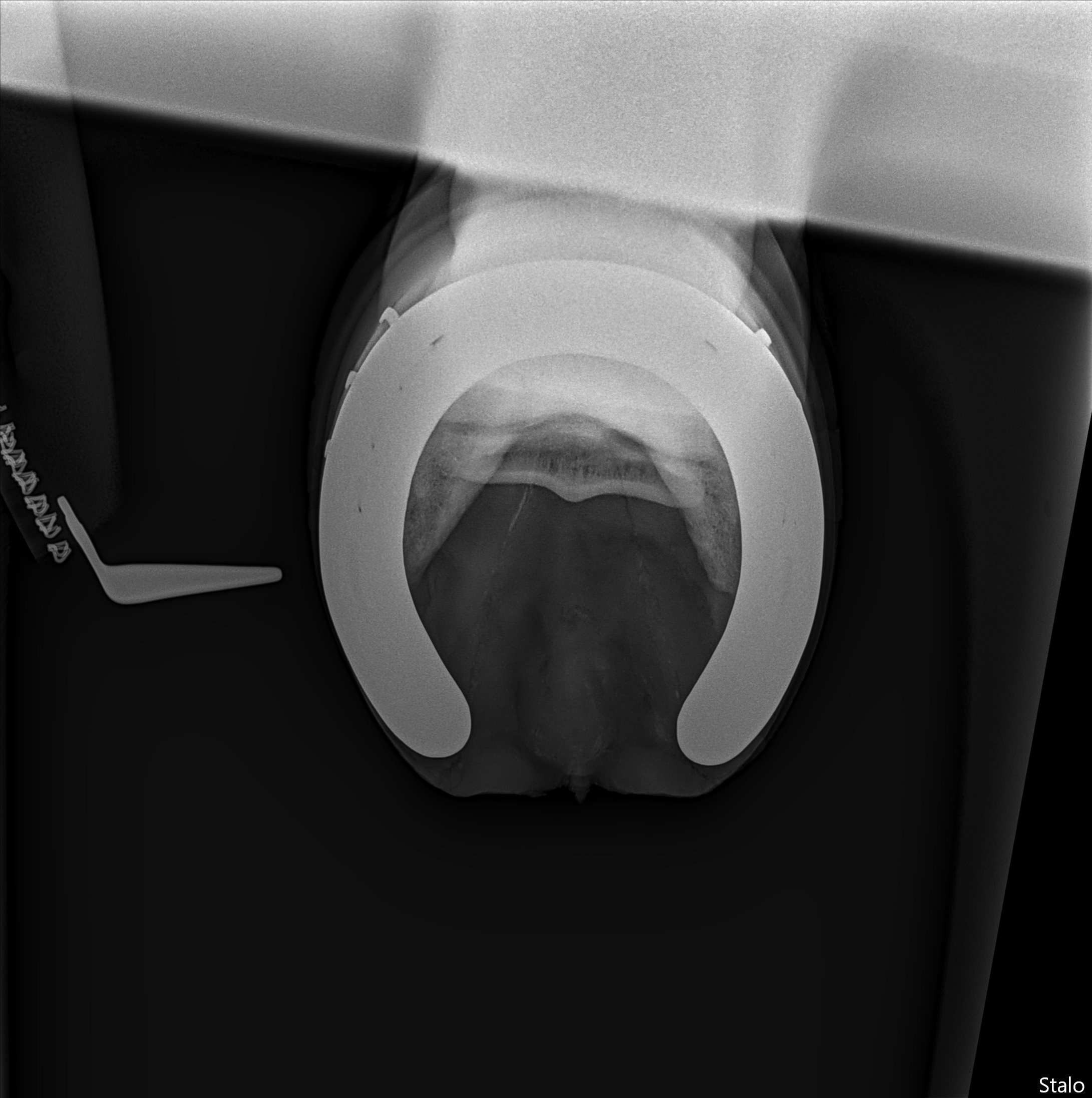 ALPHA ONE LAST GUN SMITH(4).png