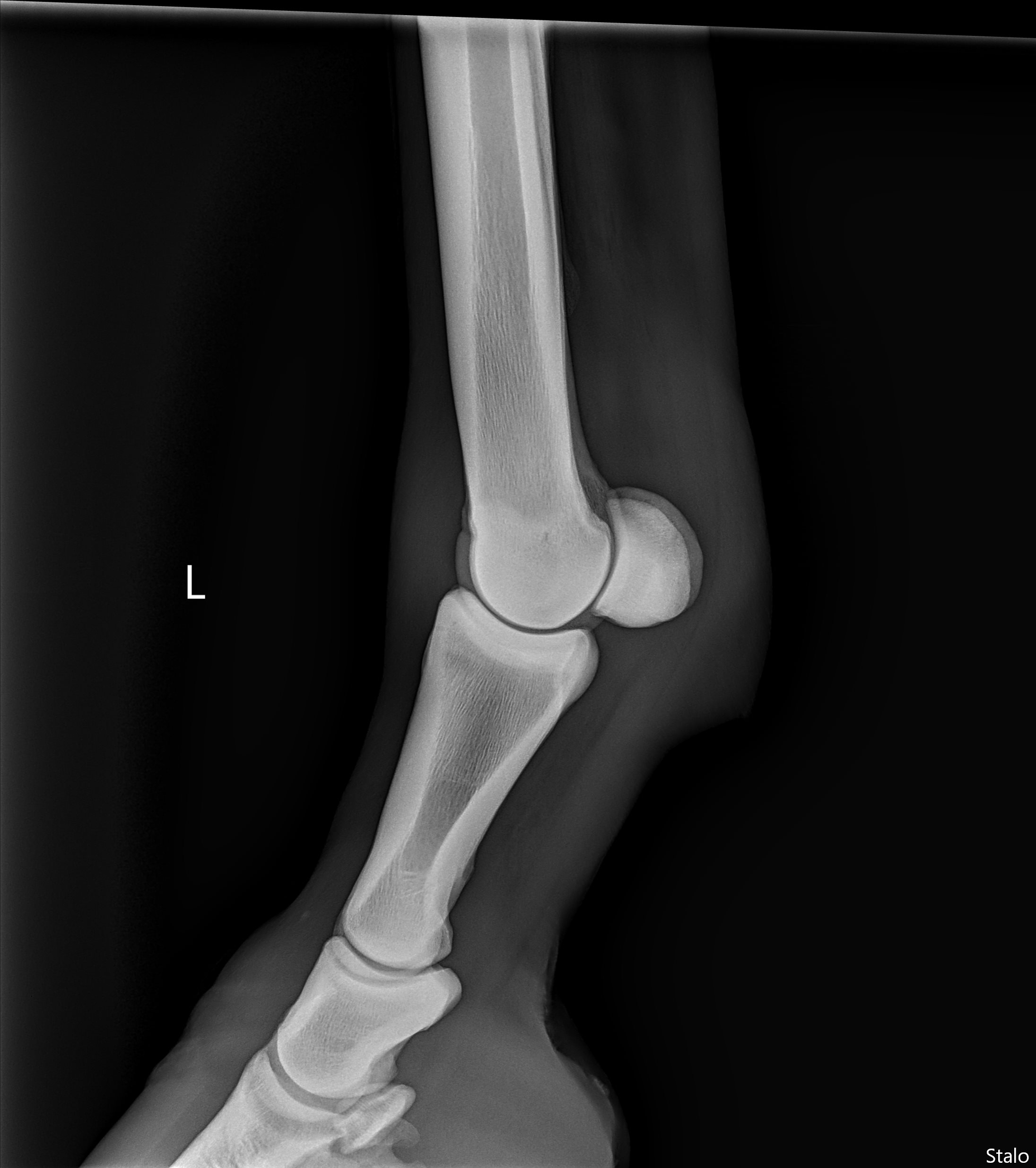 ALPHA ONE LAST GUN SMITH(14).png