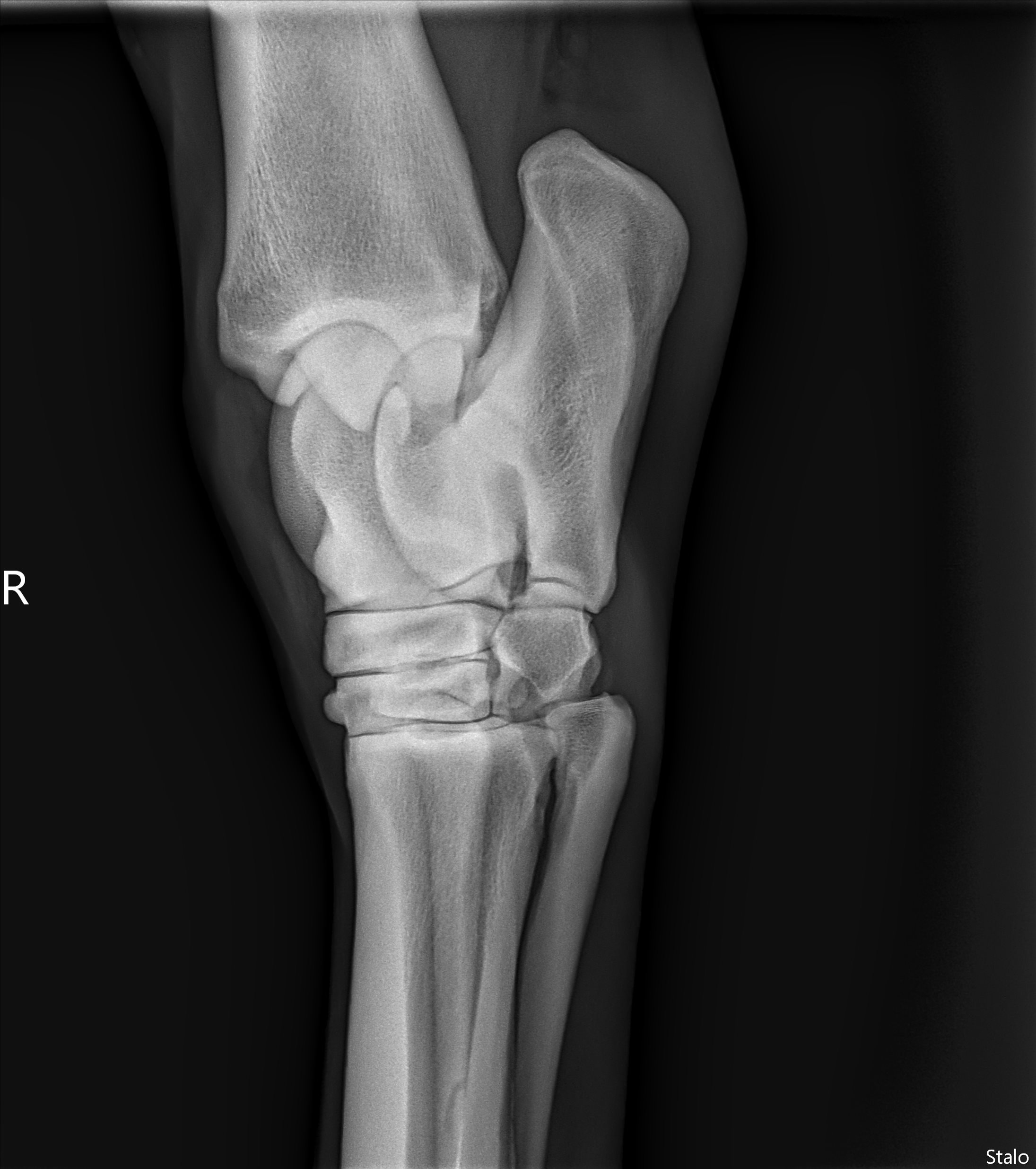 ALPHA ONE LAST GUN SMITH(24).png