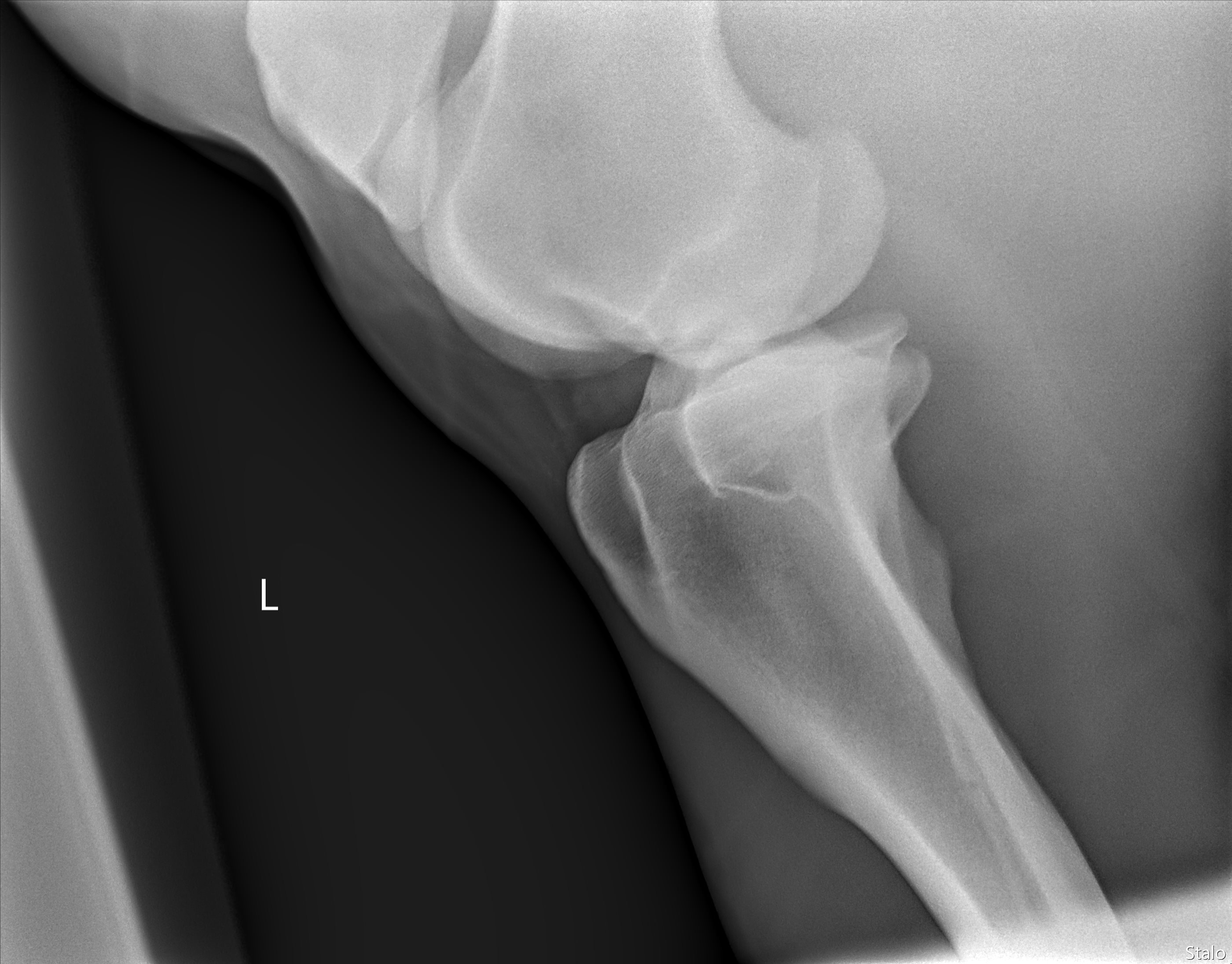 ALPHA ONE LAST GUN SMITH(11).png