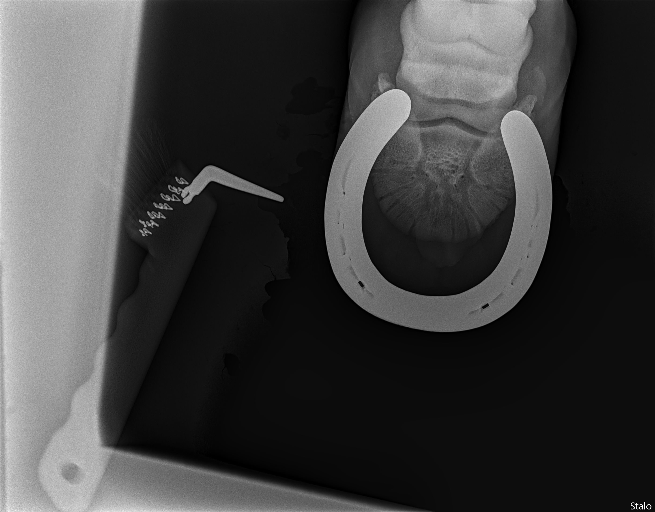 ALPHA ONE LAST GUN SMITH(3).png