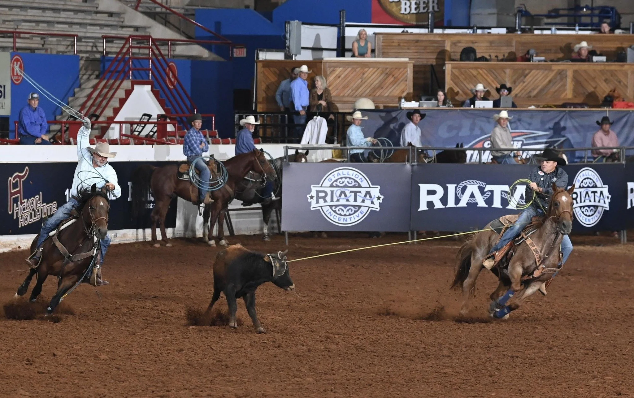 HPH Performance Horses.jpg