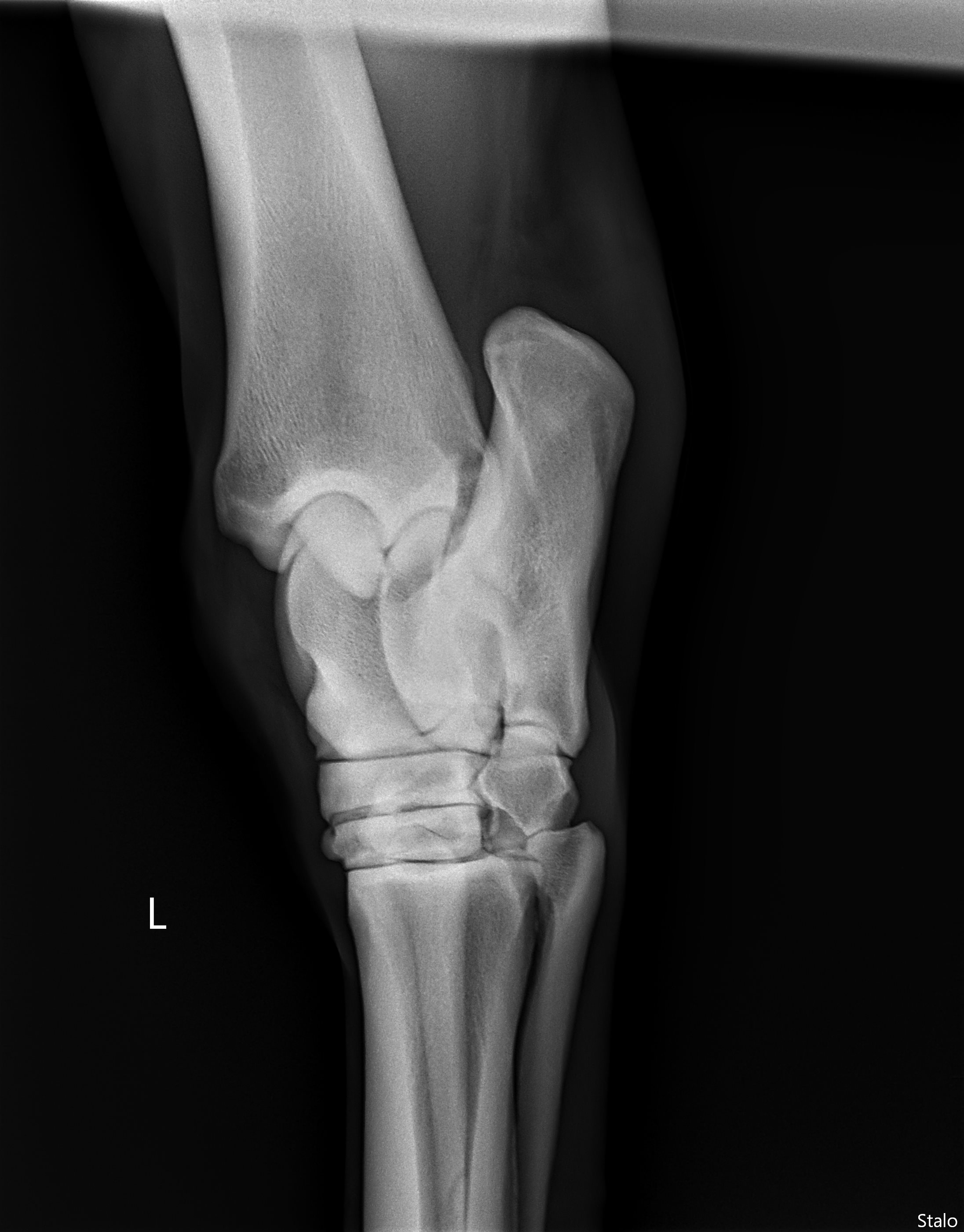 ALPHA ONE LAST GUN SMITH(9).png