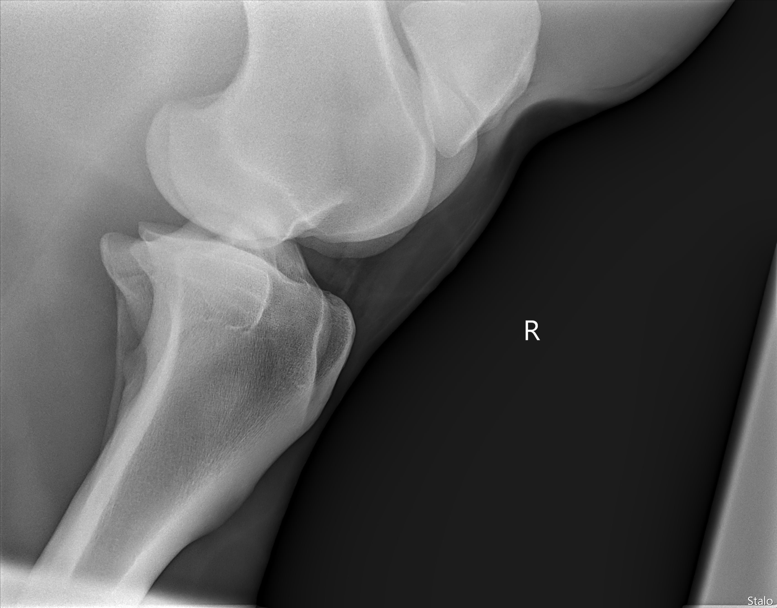 ALPHA ONE LAST GUN SMITH(13).png