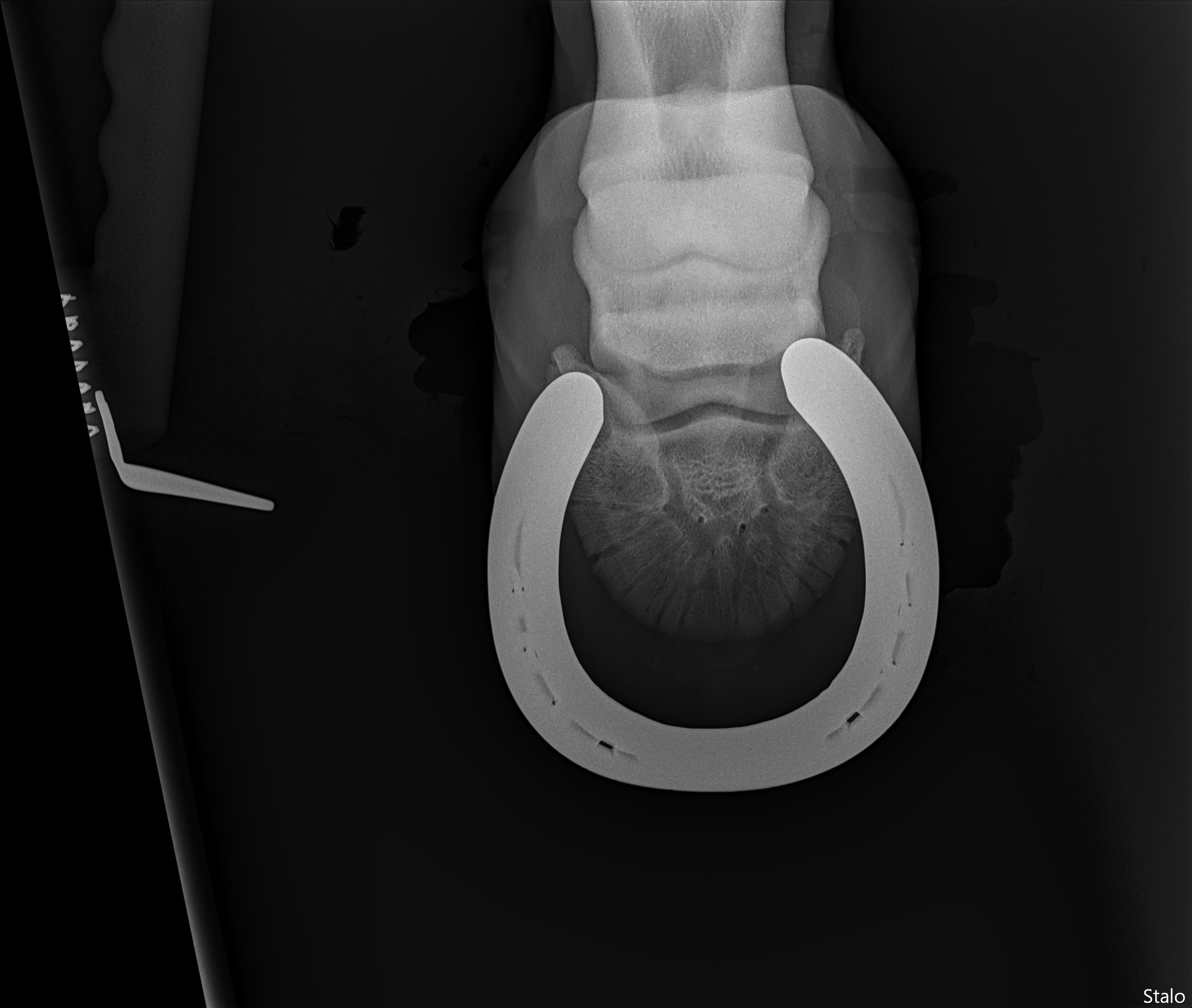 ALPHA ONE LAST GUN SMITH(26).png