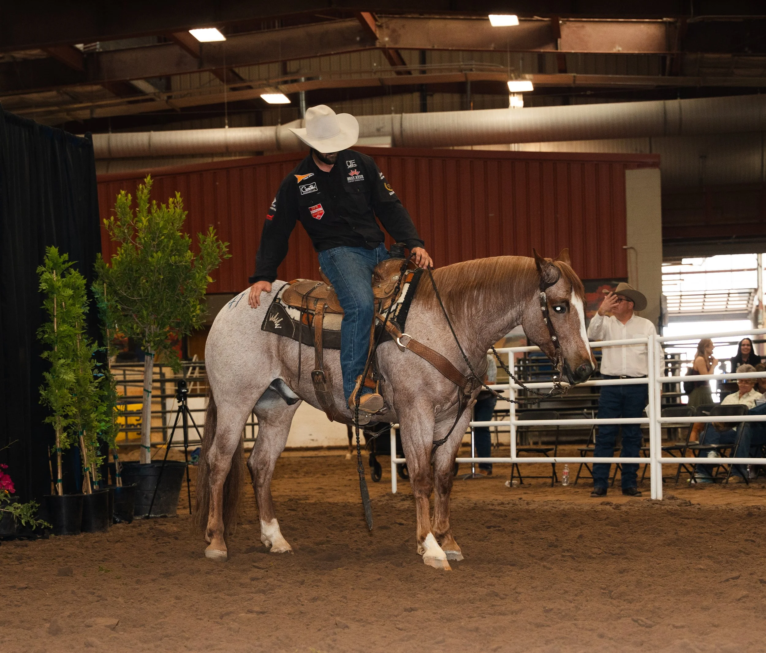 Hip #41 - "Once In A Blue Boon" Consigned By Dakota Kirchenschlager | Agent For: Matthew Armenta sold for $53,000