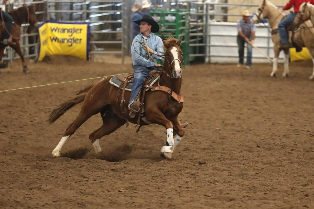 Spot N Cat Consigned by: Wyatt Hershberger Photo Credit: Kinlee Kellett