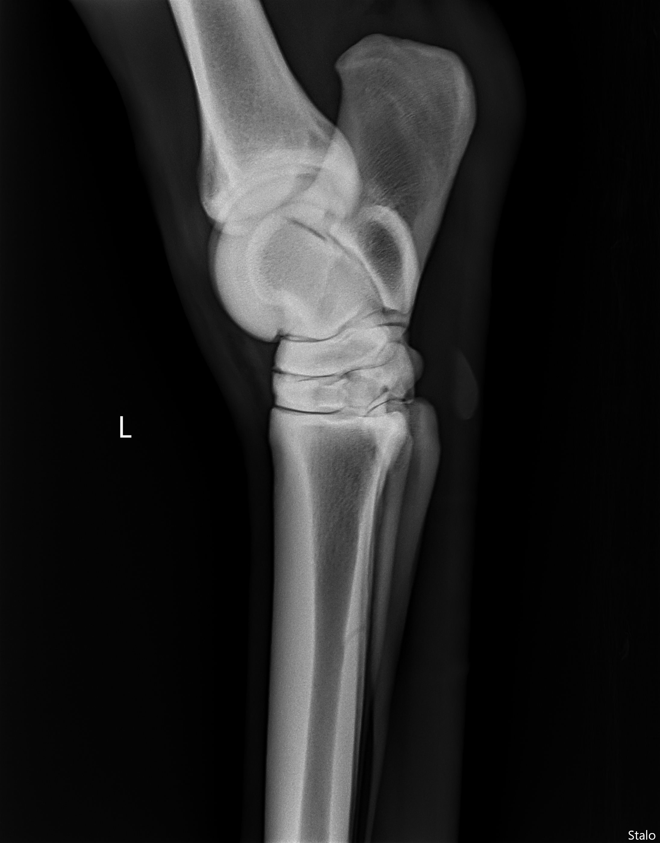 ALPHA ONE LAST GUN SMITH(8).png