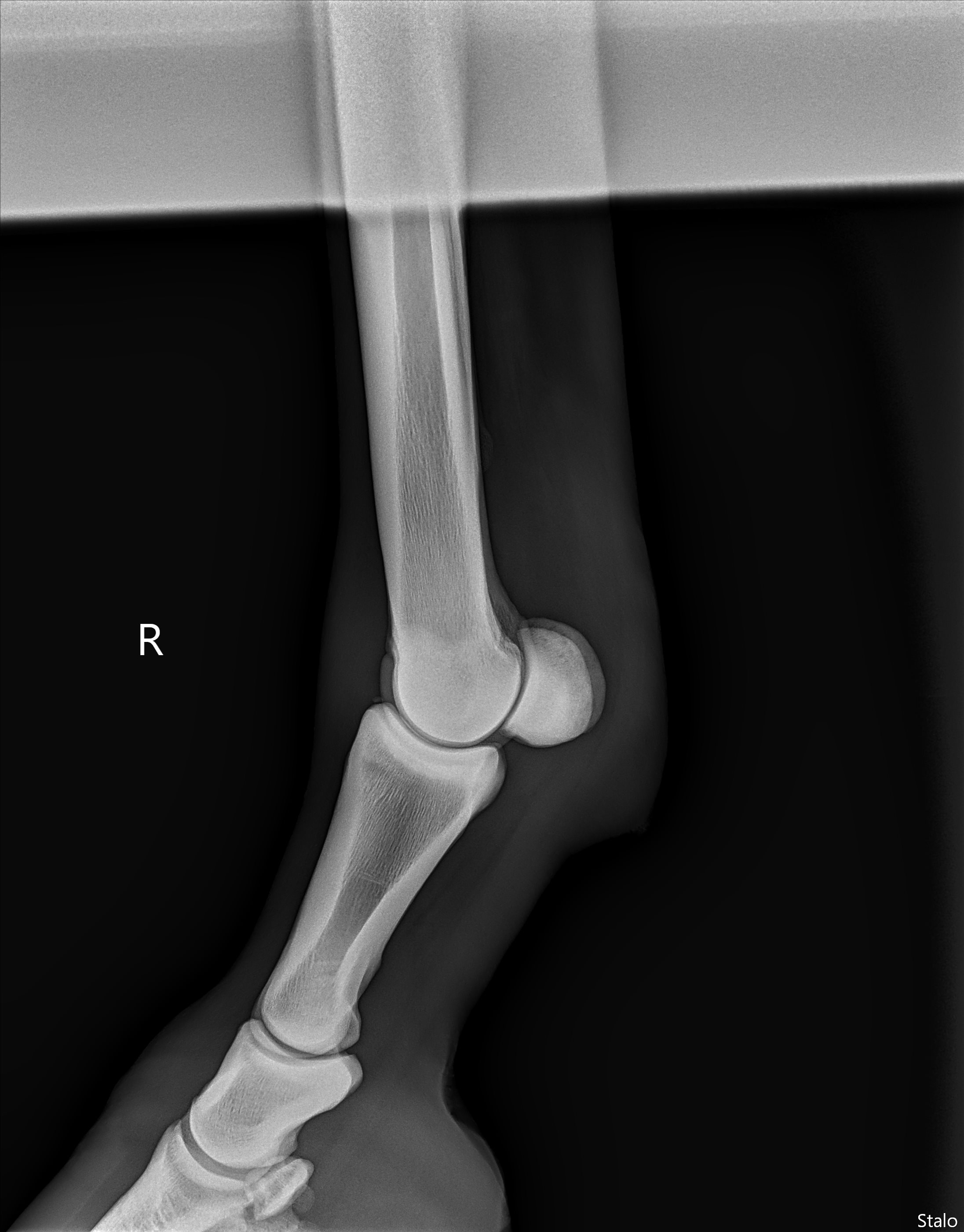 ALPHA ONE LAST GUN SMITH(5).png