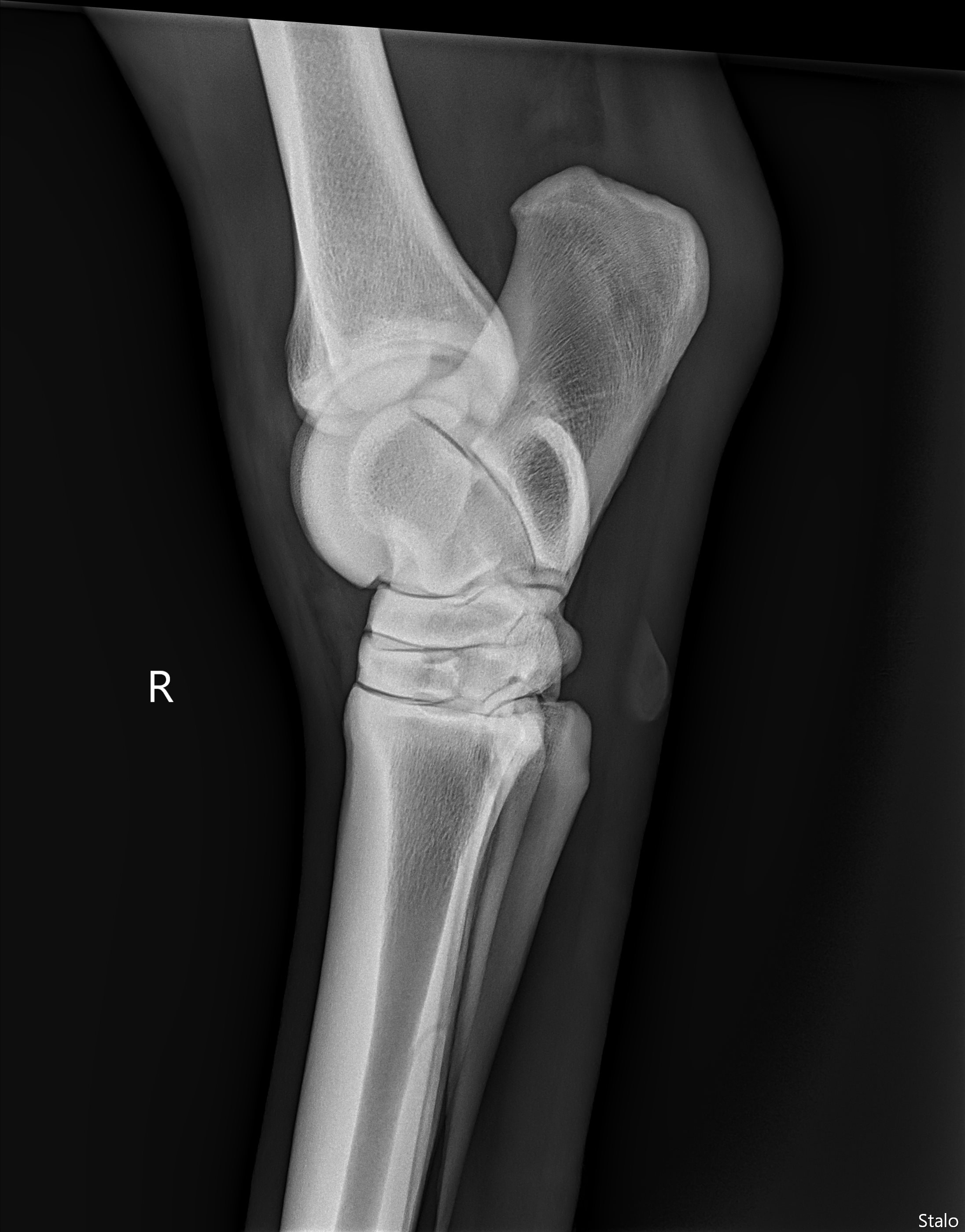 ALPHA ONE LAST GUN SMITH(23).png