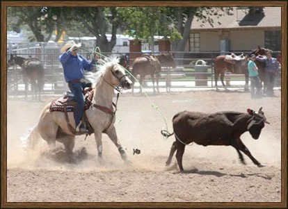 Jason Hershberger 5.jpg