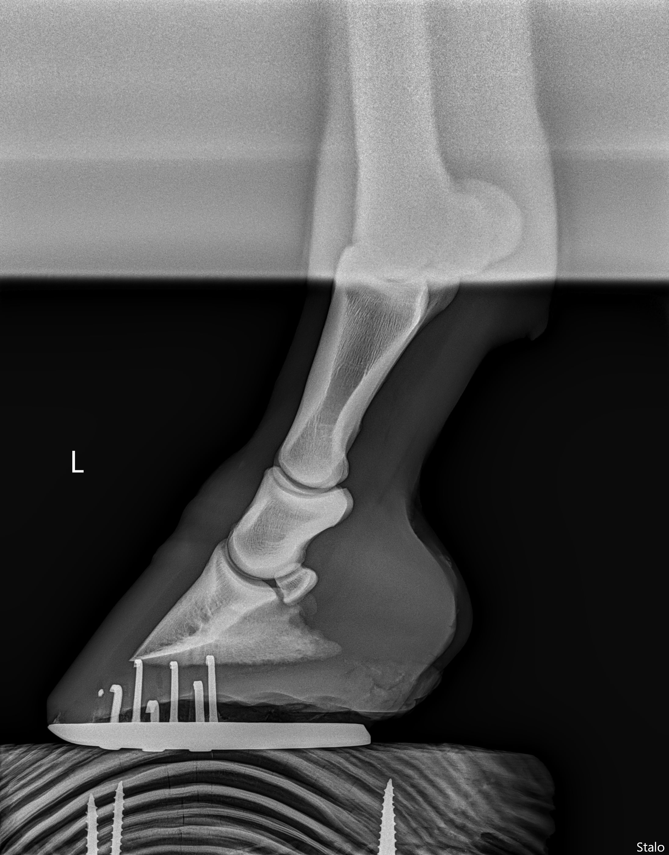 ALPHA ONE LAST GUN SMITH(1).png