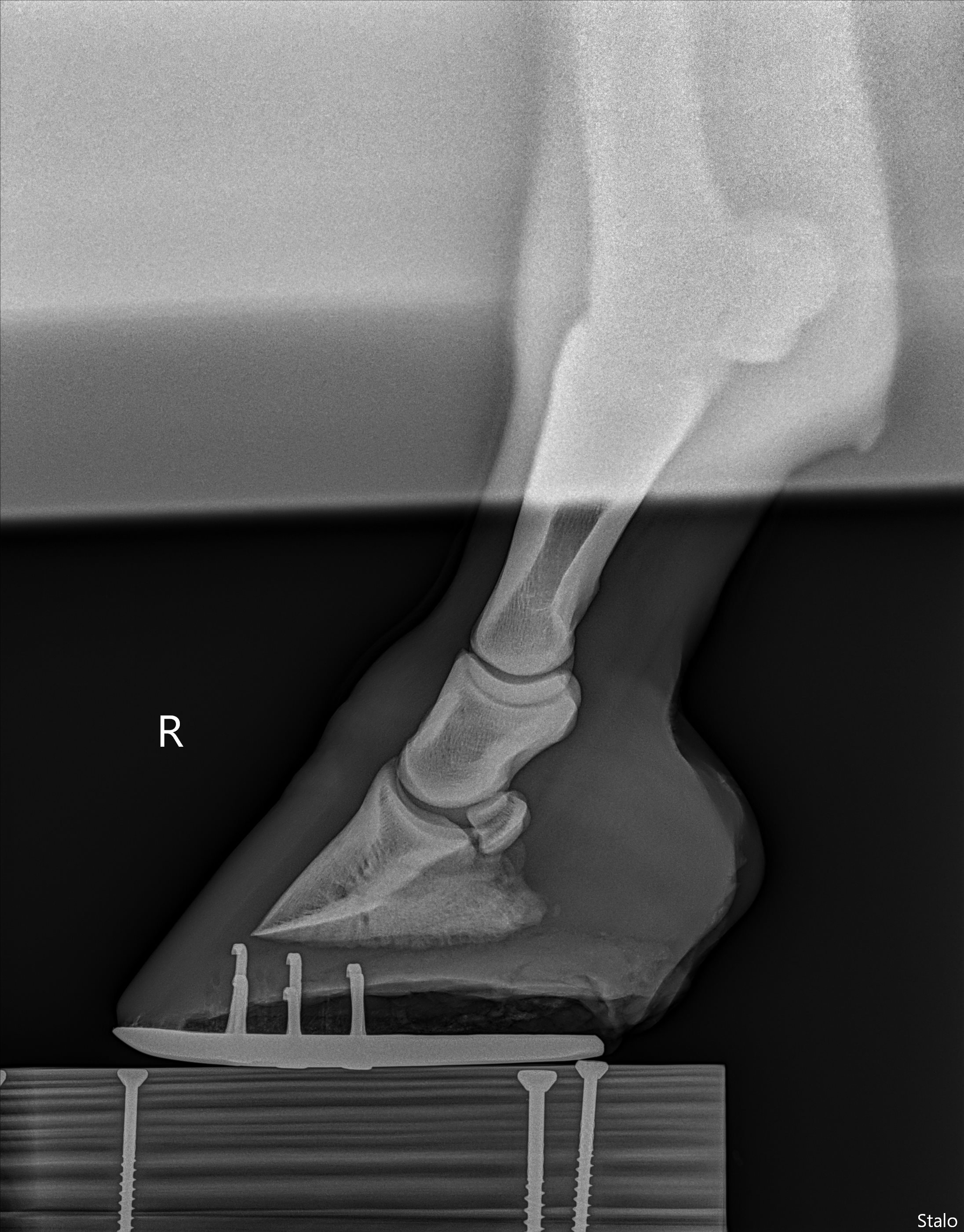 ALPHA ONE LAST GUN SMITH(2).png