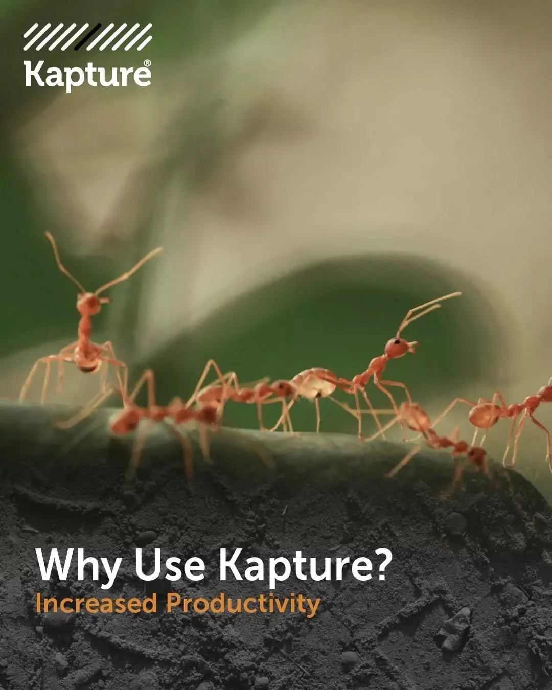 Field results have proven double the ground coverage compared to liquid alternatives. By removing the need of a forklift to cart an IBC, or reducing the number of spray treatments required compared to using water alone, the crew get to work faster an