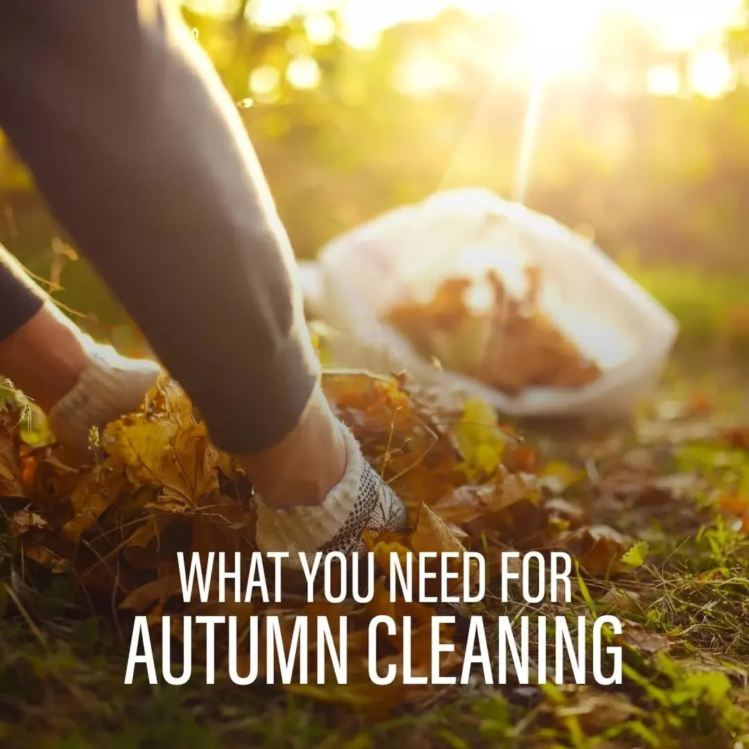 Autumn cleaning isn&rsquo;t just about leaves. It&rsquo;s about getting your business ready for flu season. Cooler weather means germs hang around longer, and prevention becomes critical.

A few things we would recommend are...
✔ Alcohol-based hand s