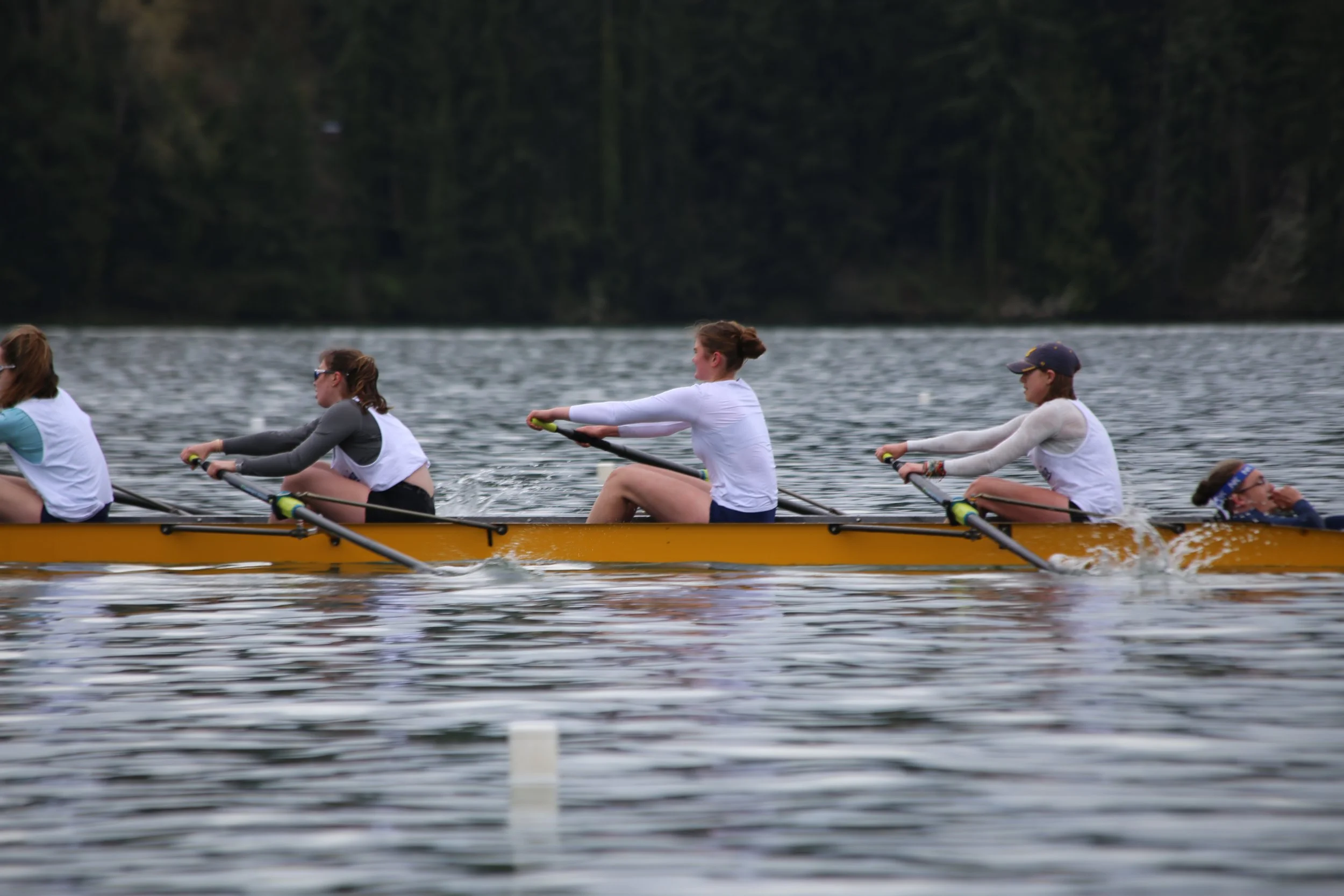 A team of five women in a rowing boat, practicing on a lake with trees in the background.