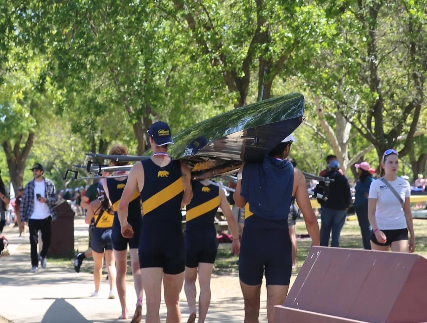 Rowers in Cal rowing team uniforms carrying a boat on their shoulders outdoors in a park with green trees.