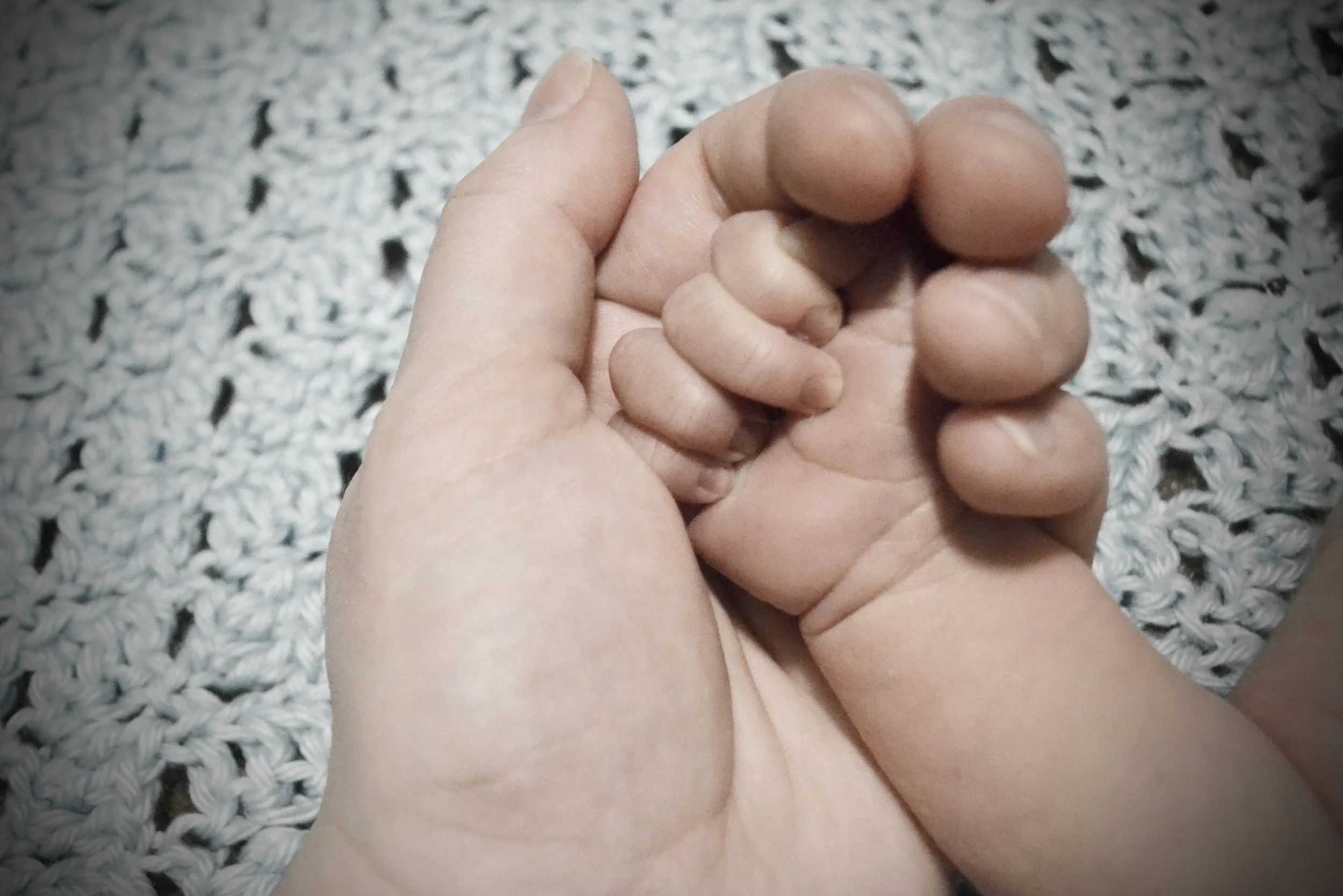 Adult hand embracing infant hand to promote reflex integration - Kalme Key Therapeutics.