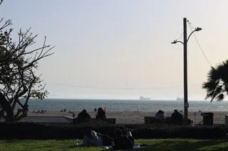 Beach scene with trees, benches, and a lamppost overlooking the ocean, with a ship visible in the distance.