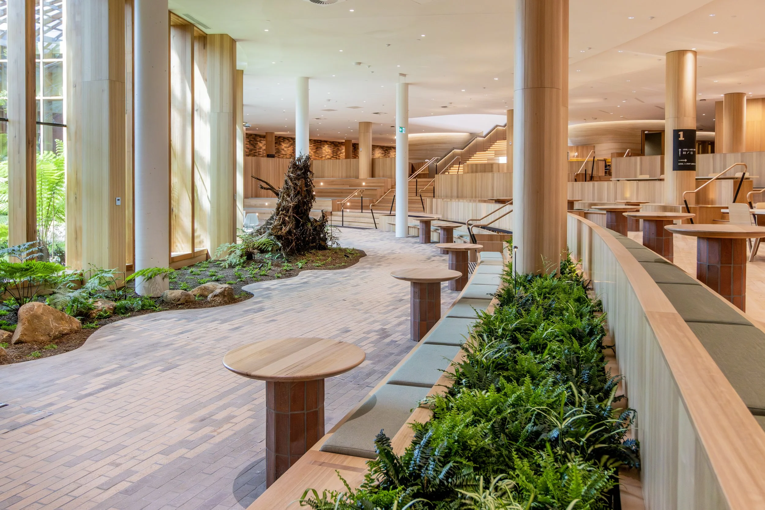 Project Completion- UTAS The Forest BUILDING- Hobart, Tasmania