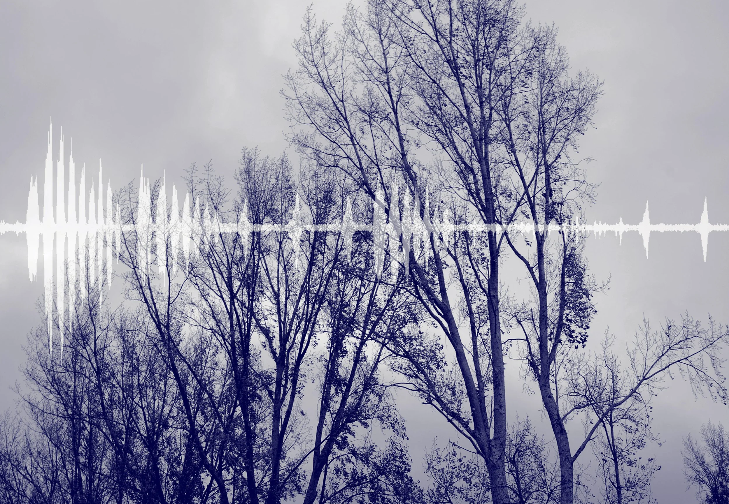 soundwave paper colour.jpg