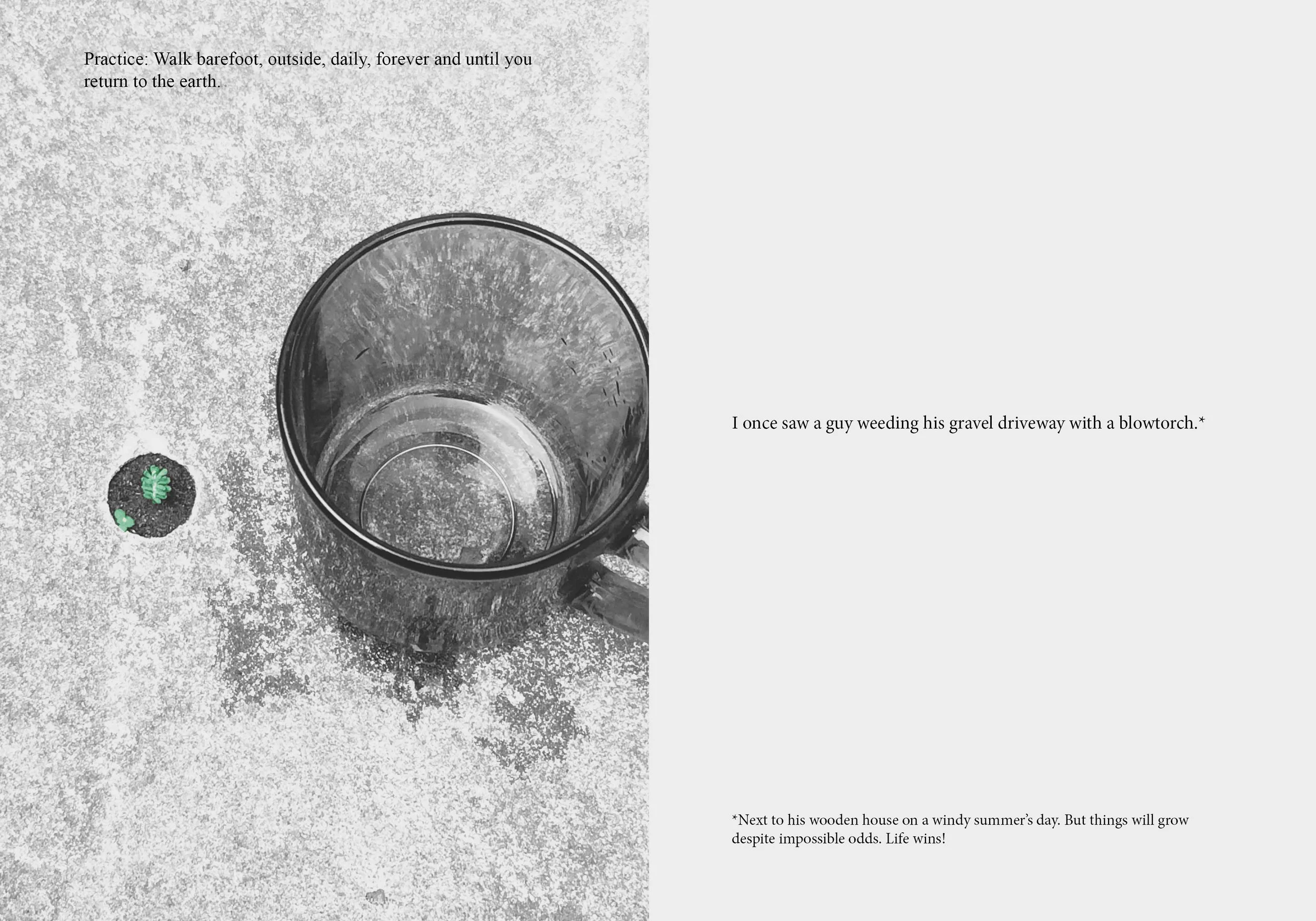 cession songs 07.jpg