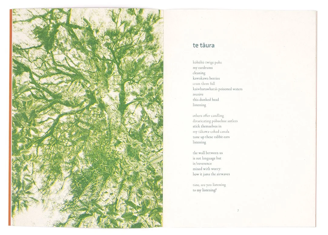 p6 p7 web cropped.jpg