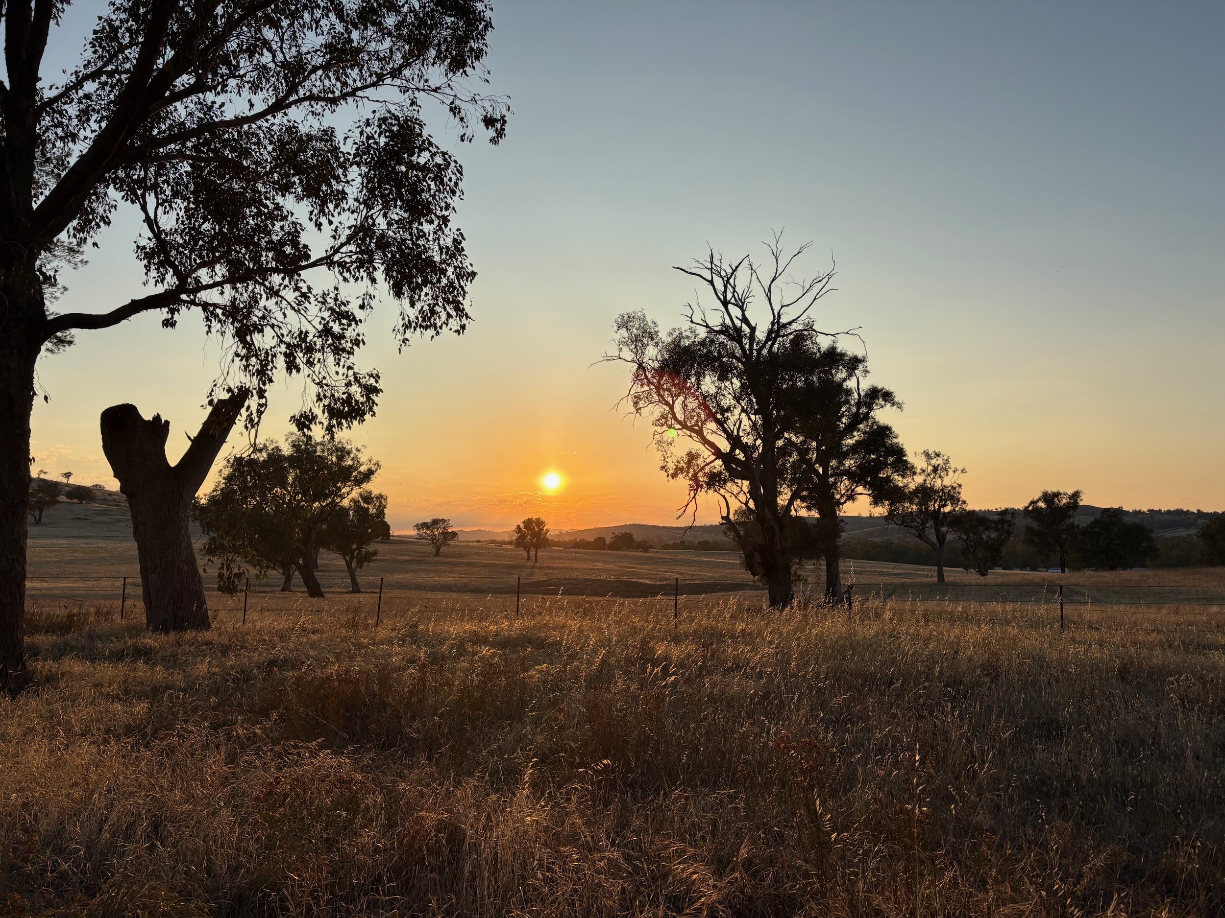 Australia Day and the stories we refuse to tell ourselves