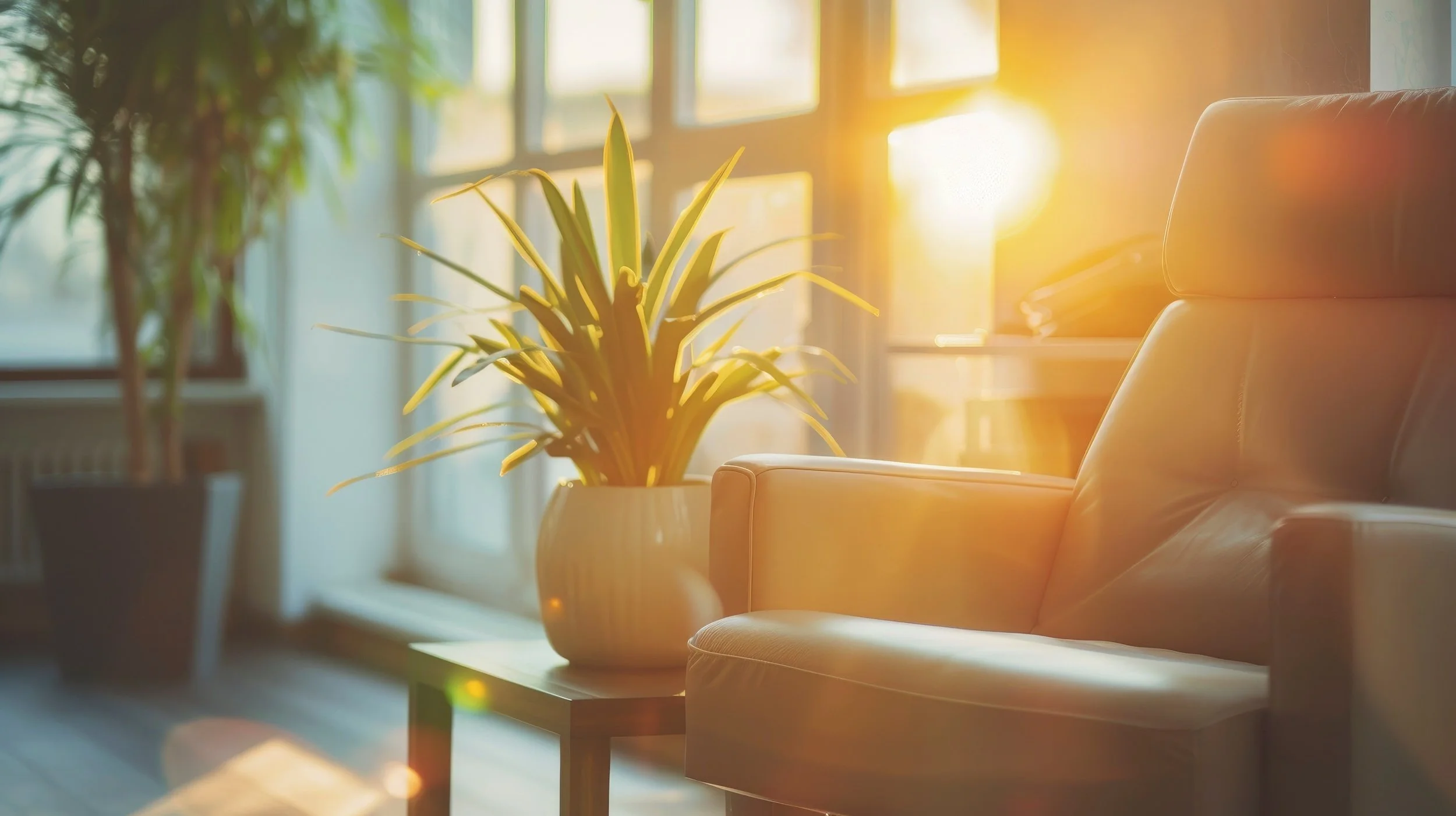 Sunlight streaming through a window illuminating a potted plant and a leather armchair in a cozy, well-lit room.