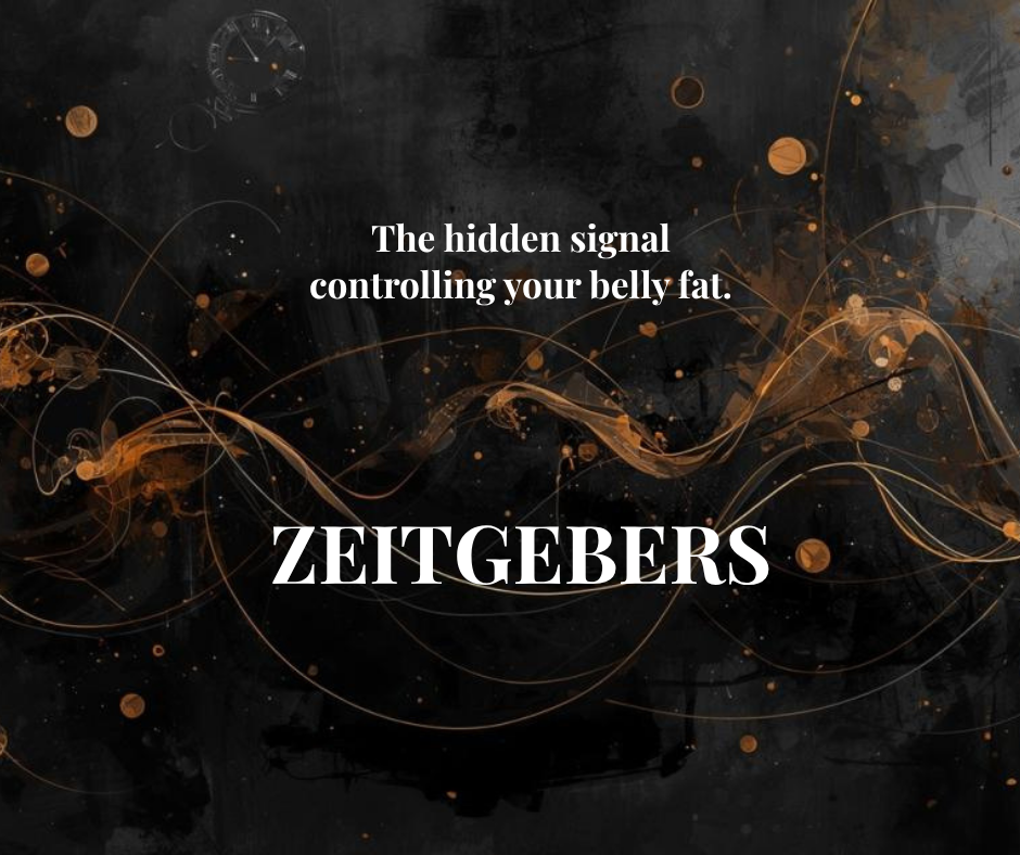 If You've Never Heard of Zeitgebers, Your Belly Fat Has